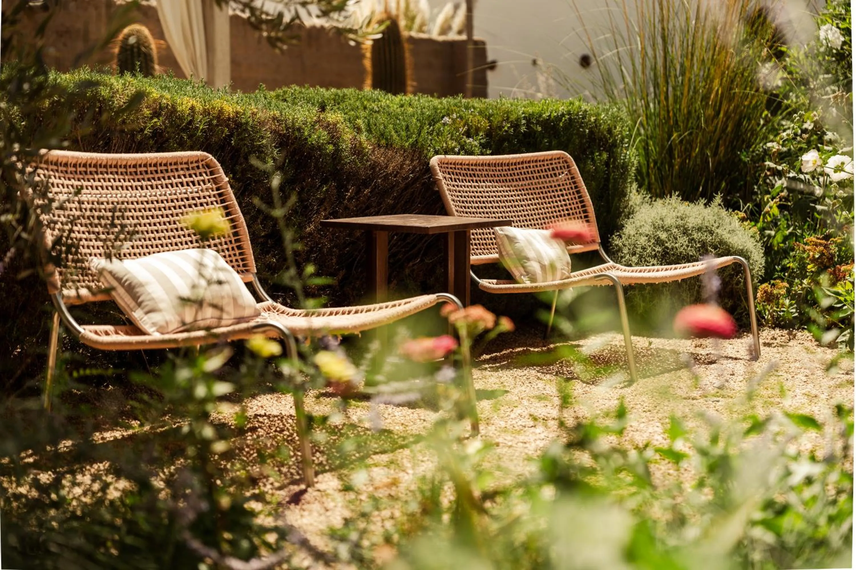 Garden in El Cortijo Hotel Boutique