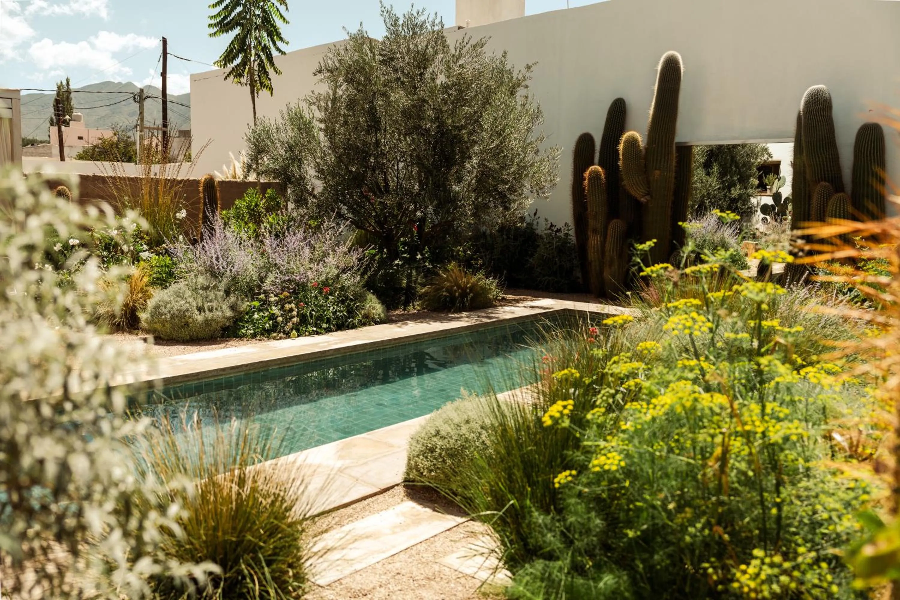 Garden in El Cortijo Hotel Boutique