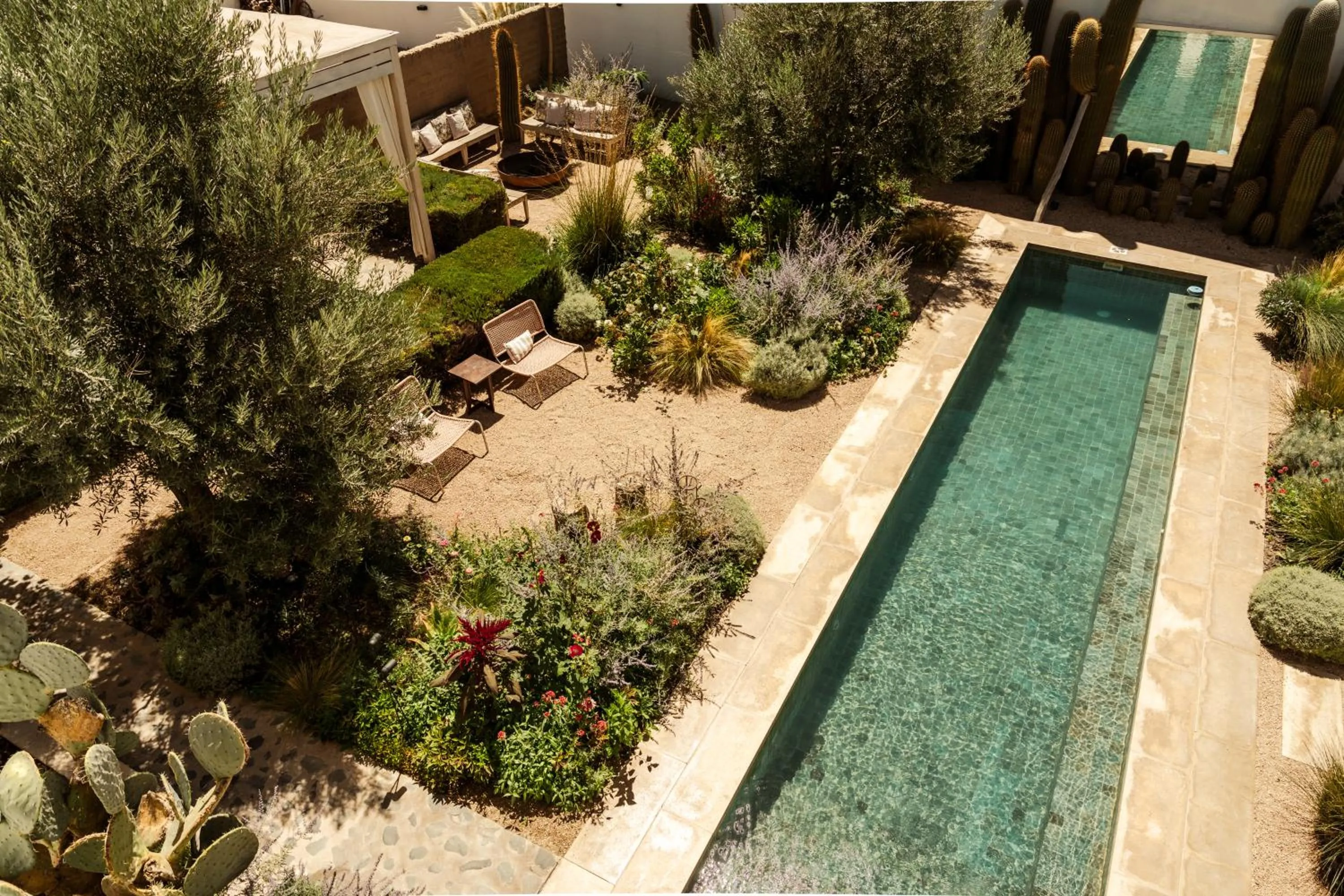 Garden in El Cortijo Hotel Boutique