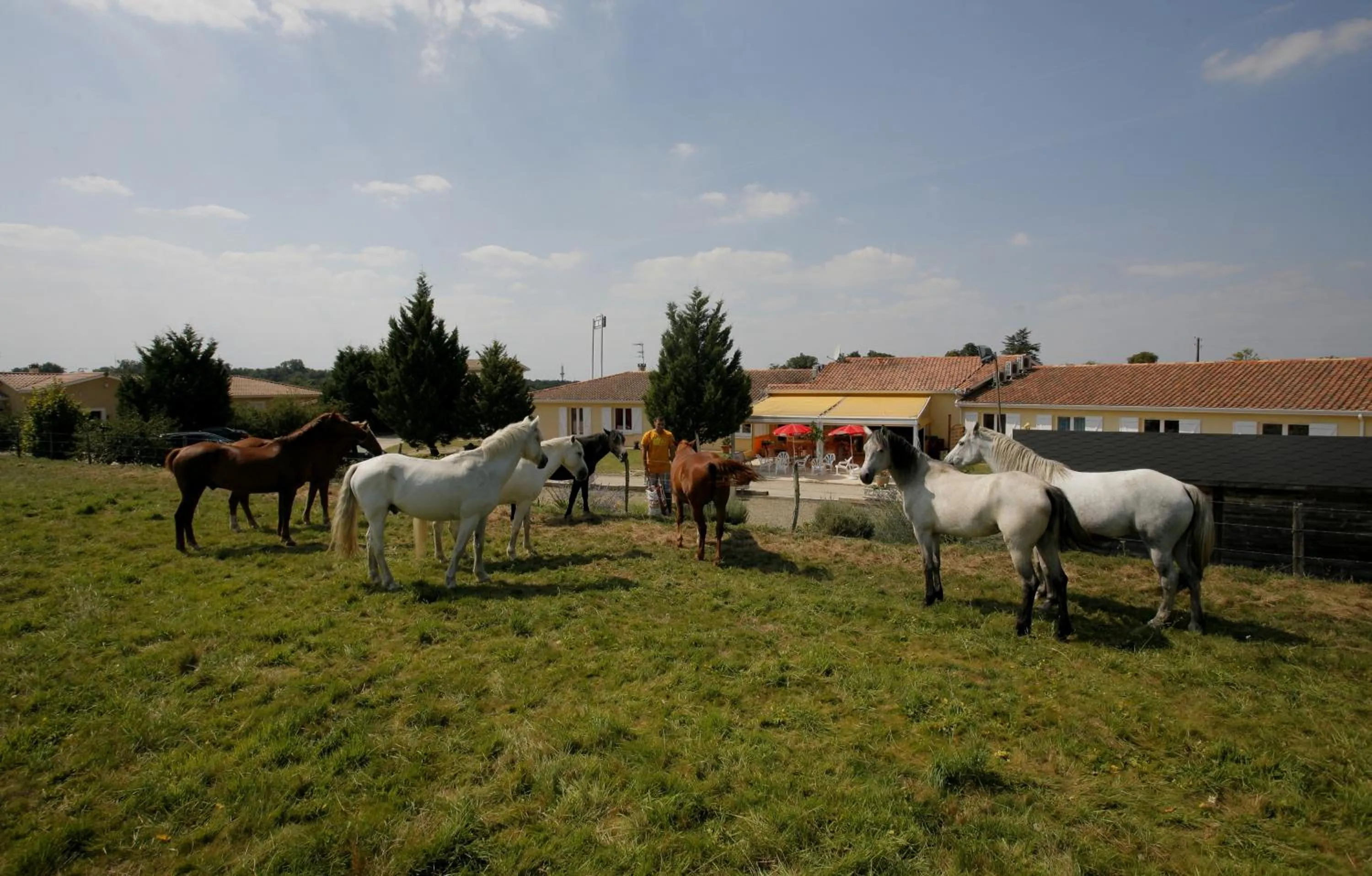 Decorative detail in Logis Hôtel Corintel Bordeaux Est