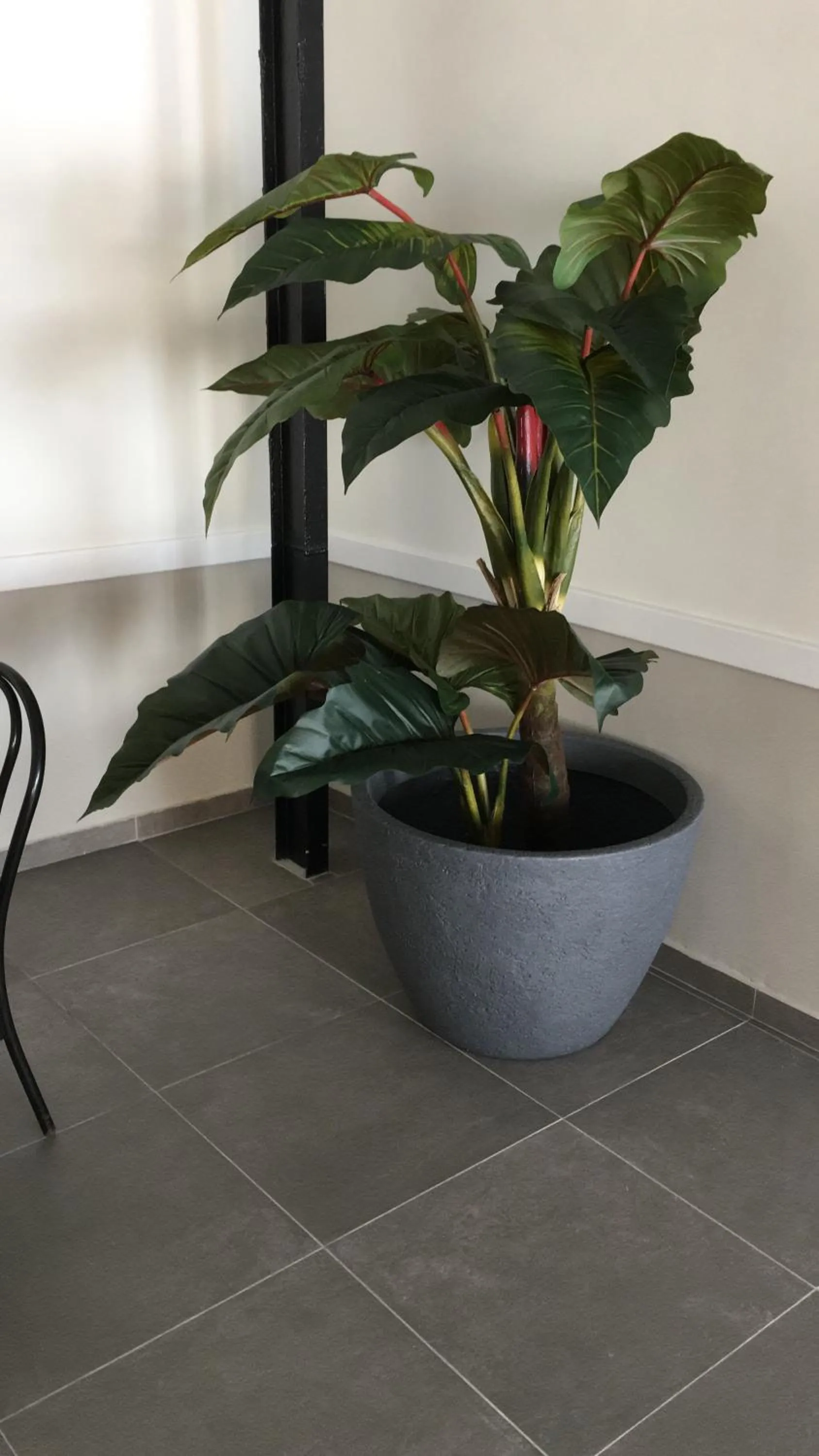 Decorative detail in San Marco Hotel Curacao & Casino