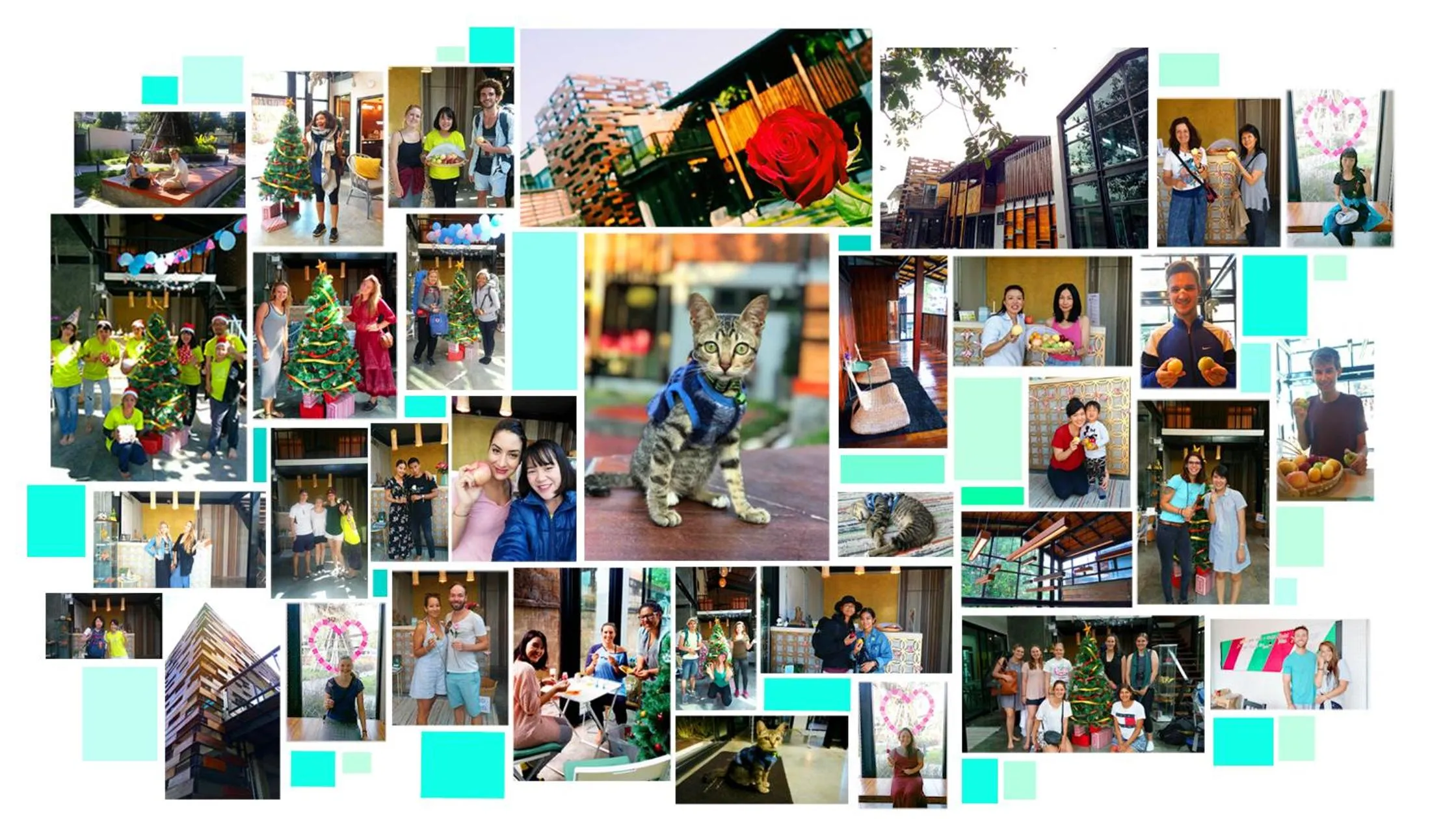 group of guests in Baan Mai Kradan Hostel Chiang Rai