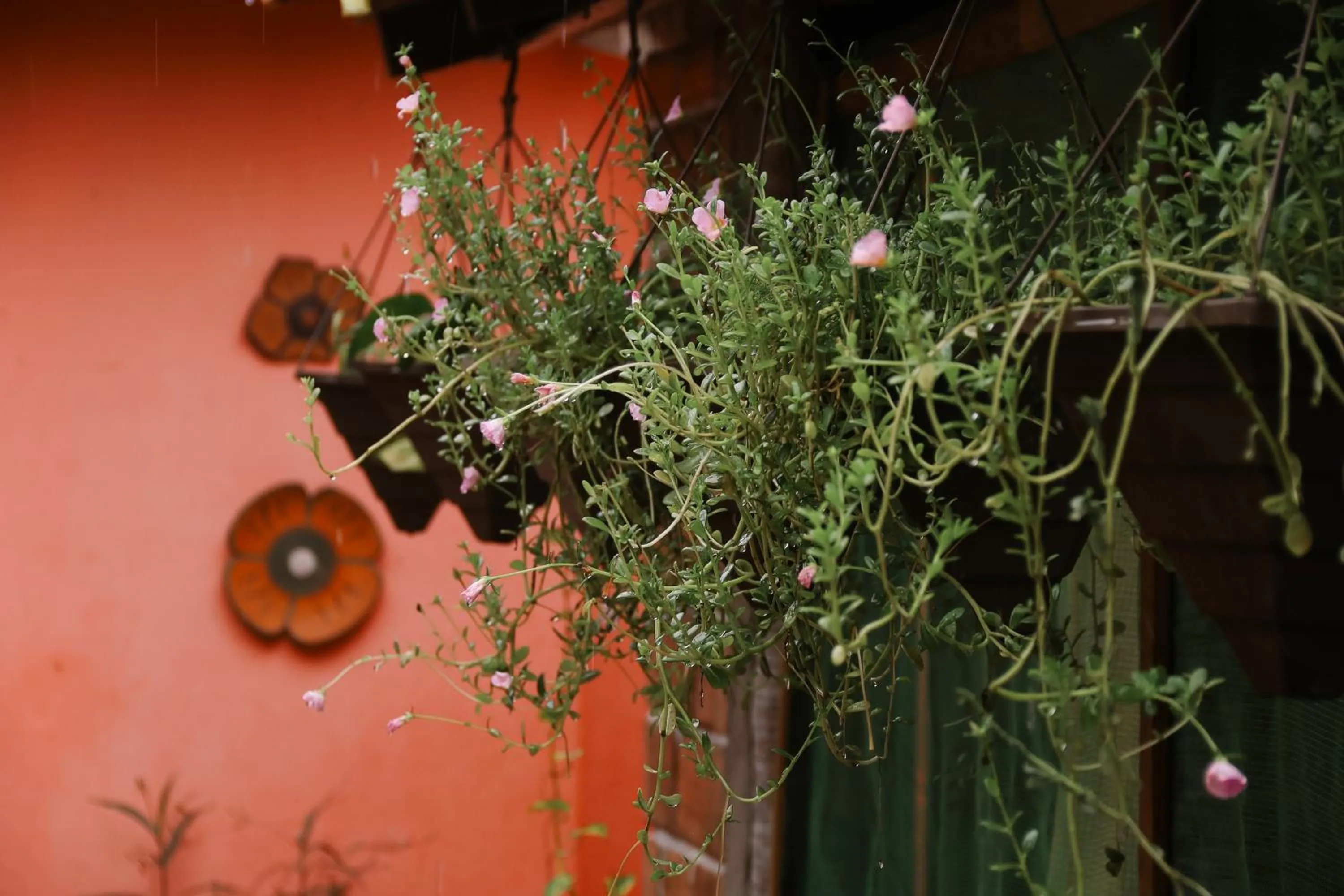 Pousada Vitória do Lopes