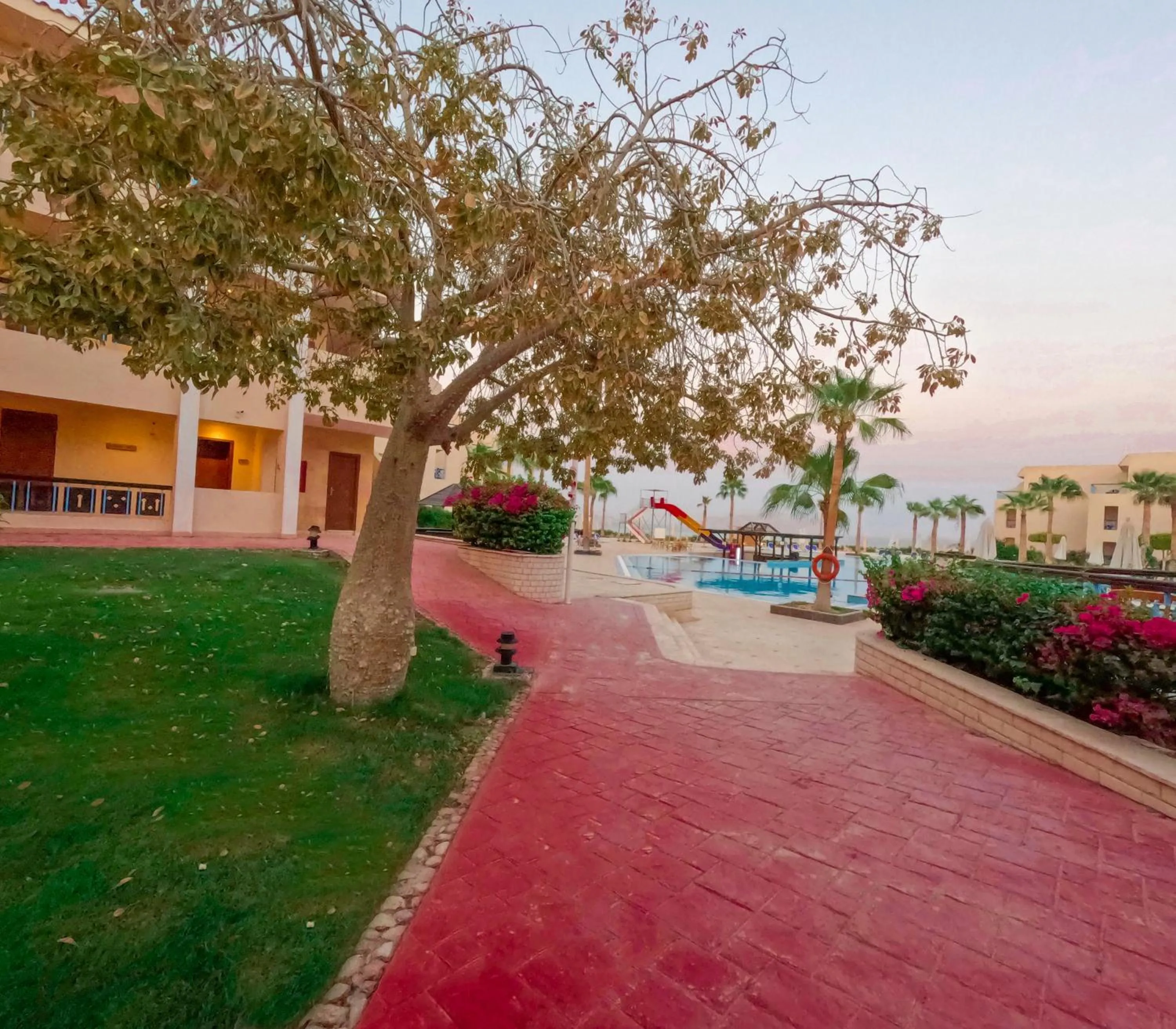 Garden view in Ivy Cyrene Island Aqua Park Resort