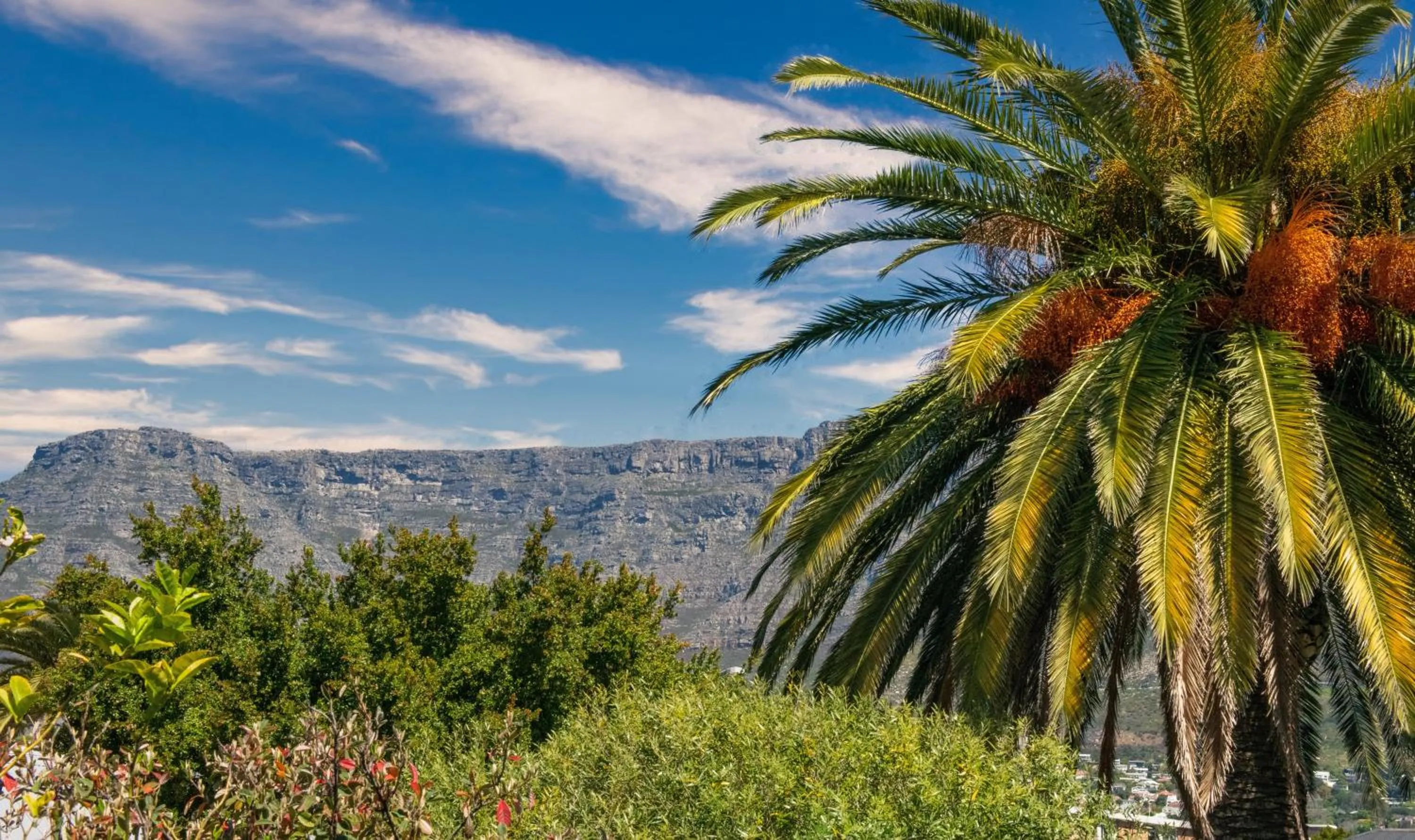 Mountain view in Villa Viva Cape Town