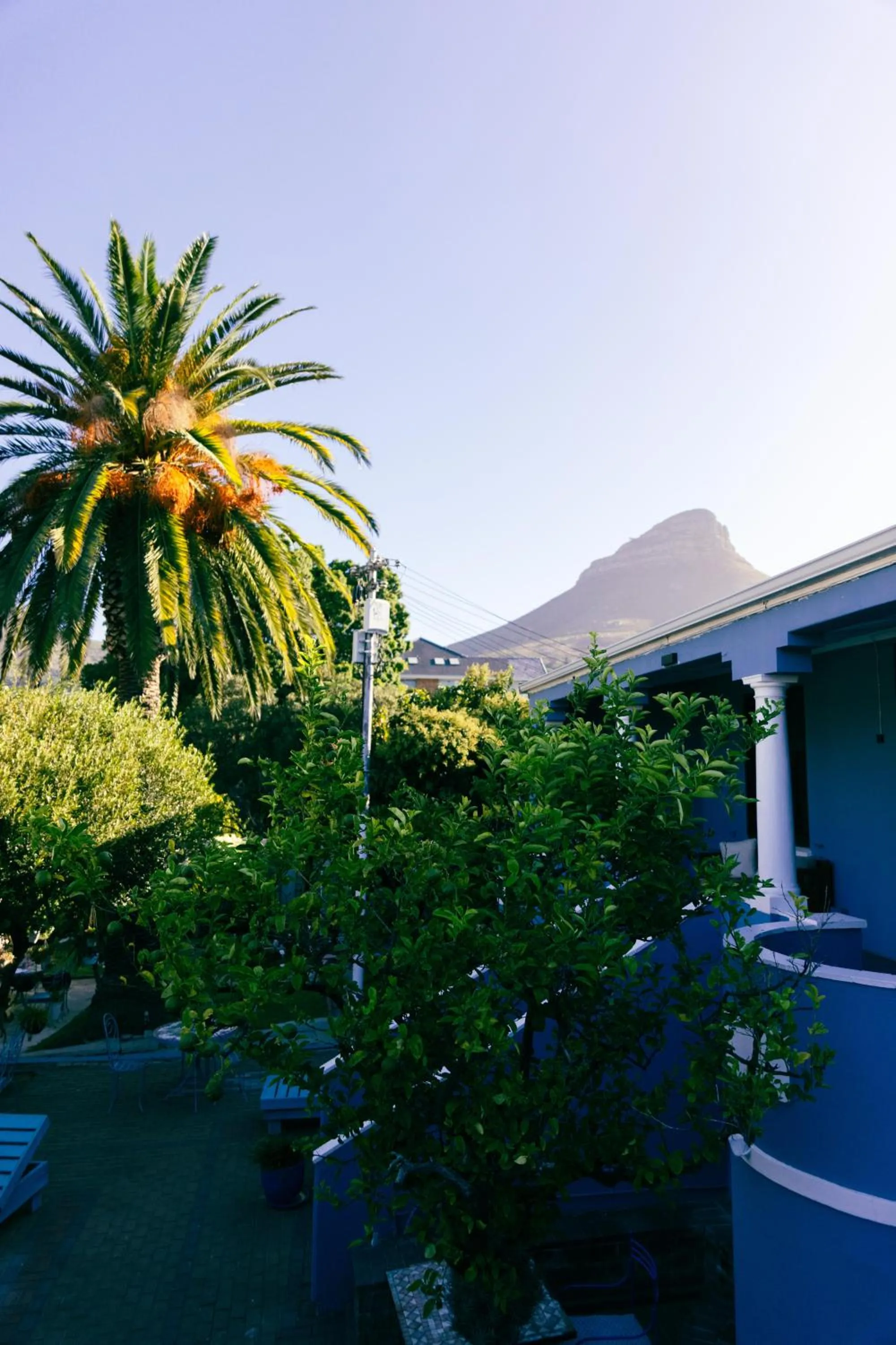 Spring in Villa Viva Cape Town