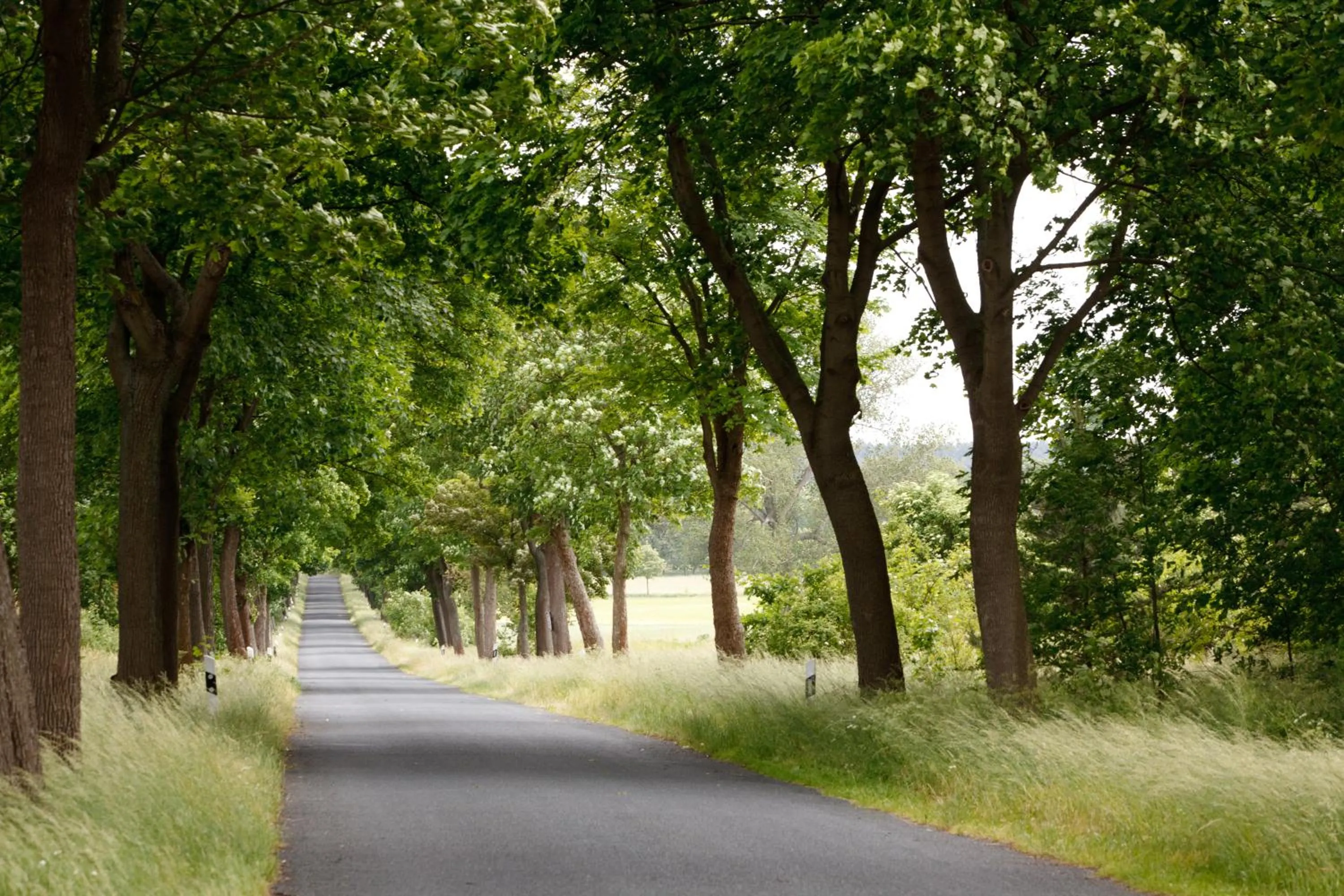 Off site in Landhotel Zum Pottkuchen