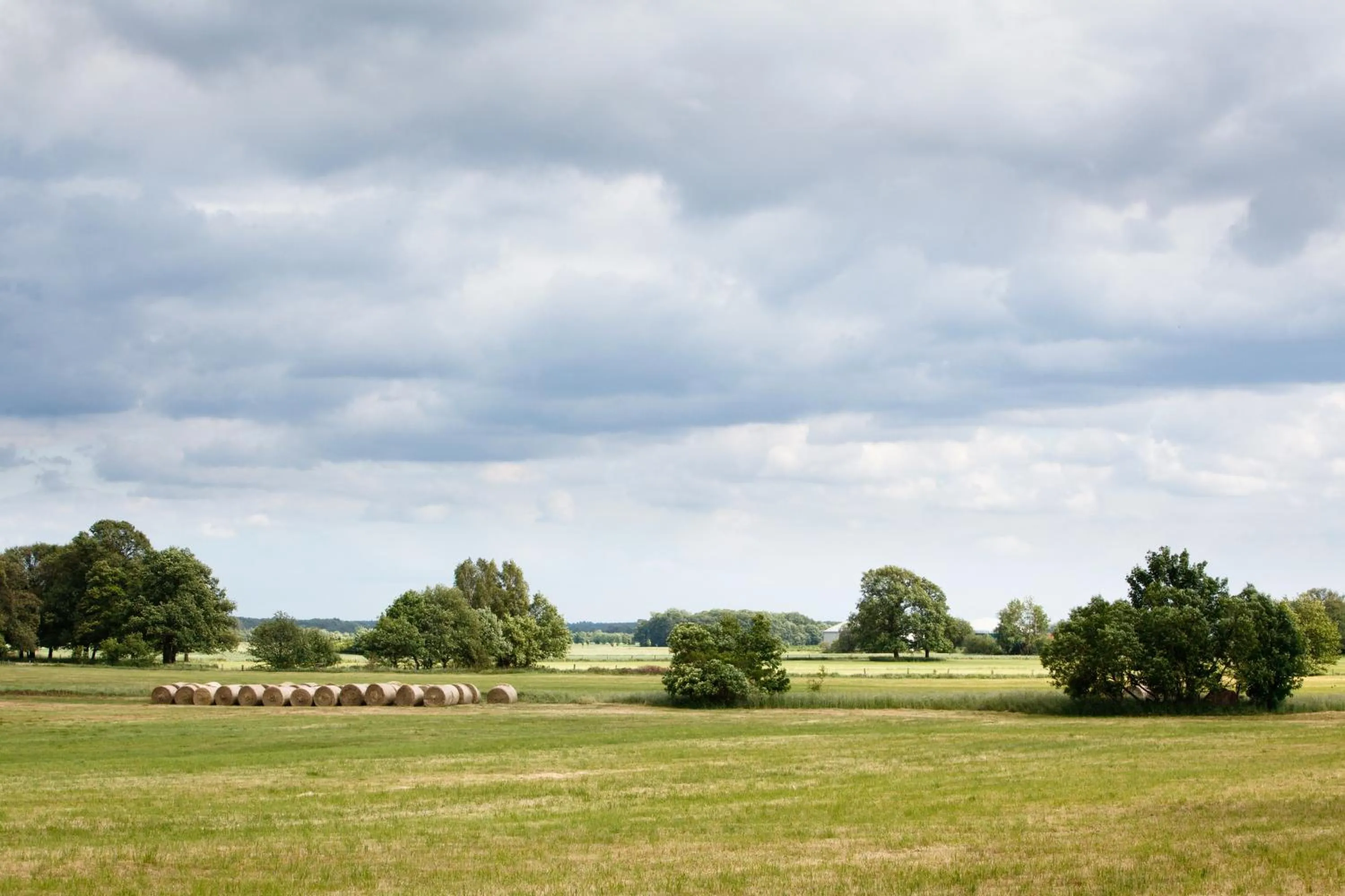 Nearby landmark in Landhotel Zum Pottkuchen