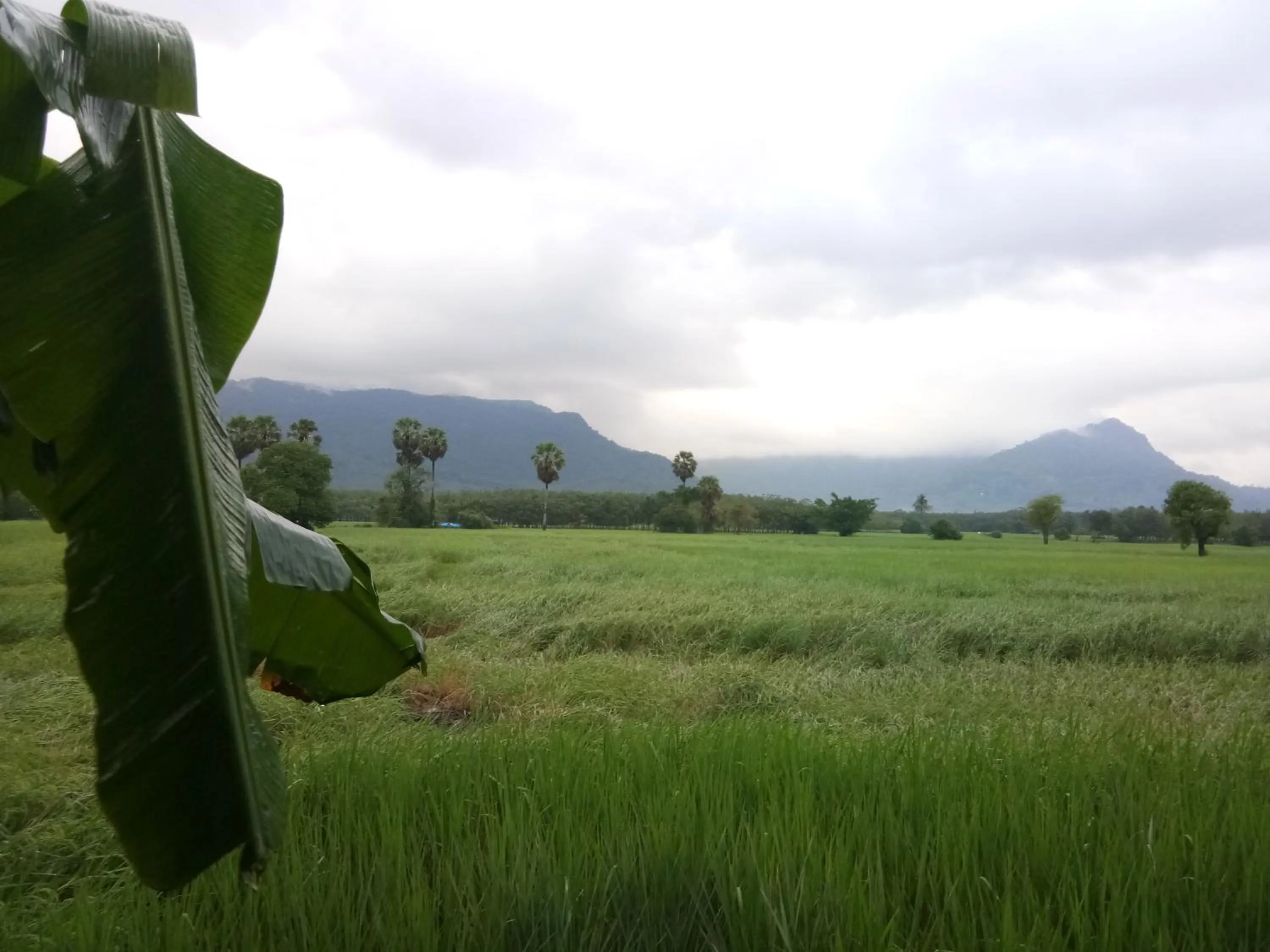 4 seasons mini house