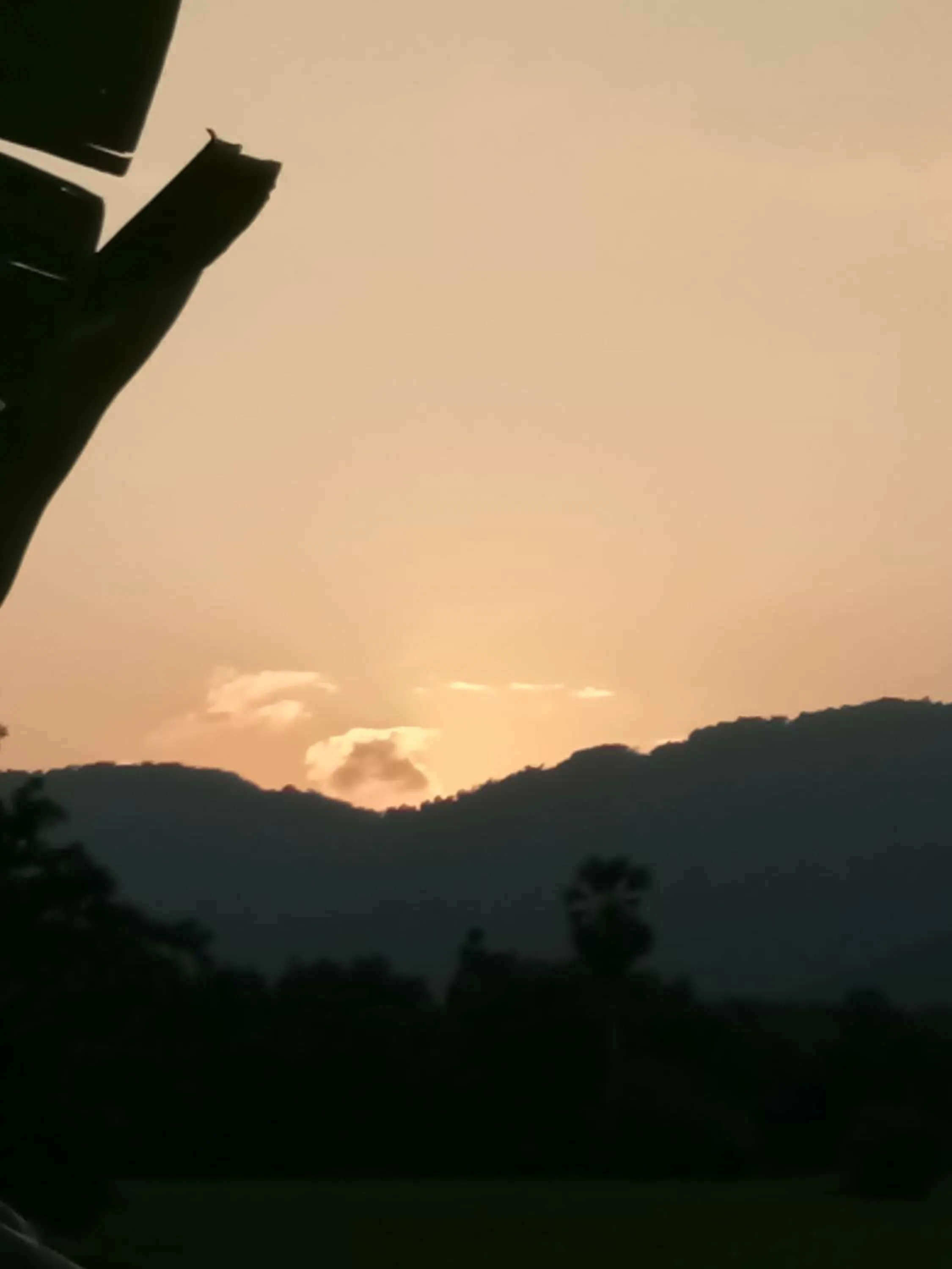 4 seasons mini house