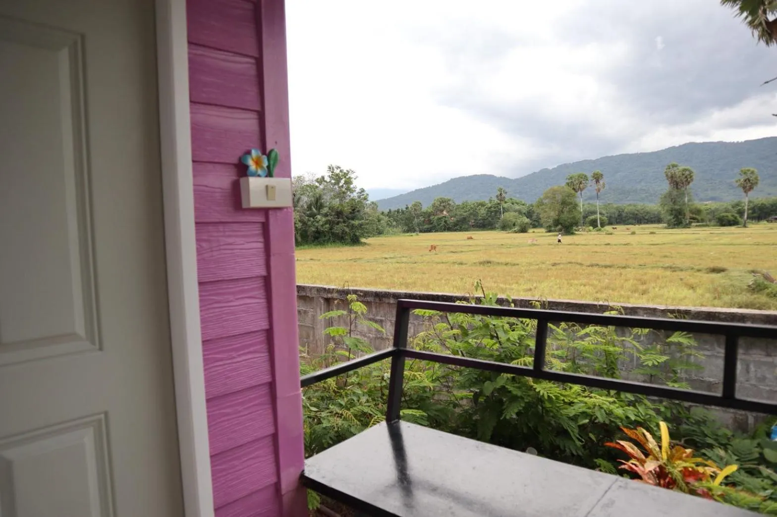 4 seasons mini house