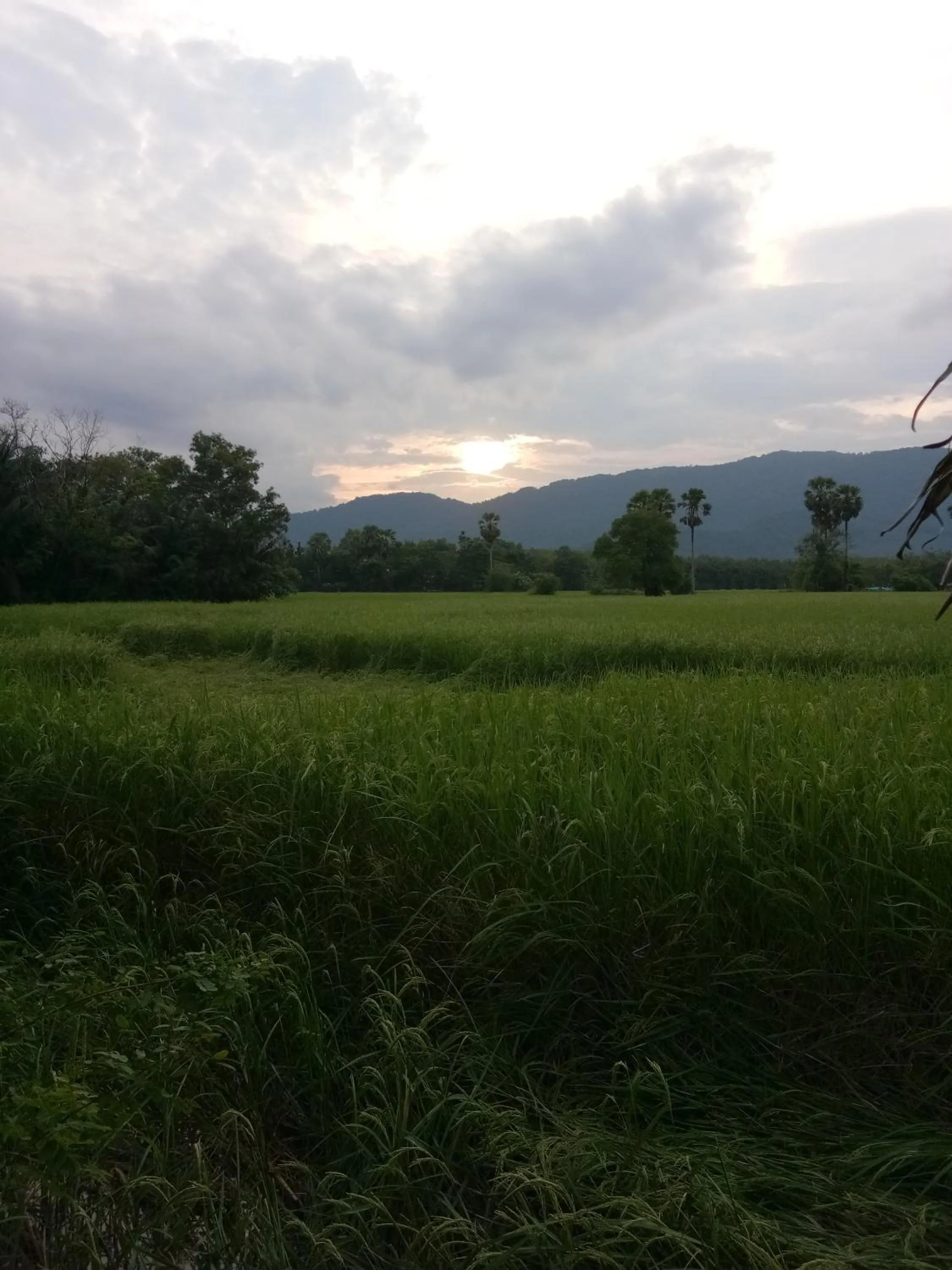 4 seasons mini house