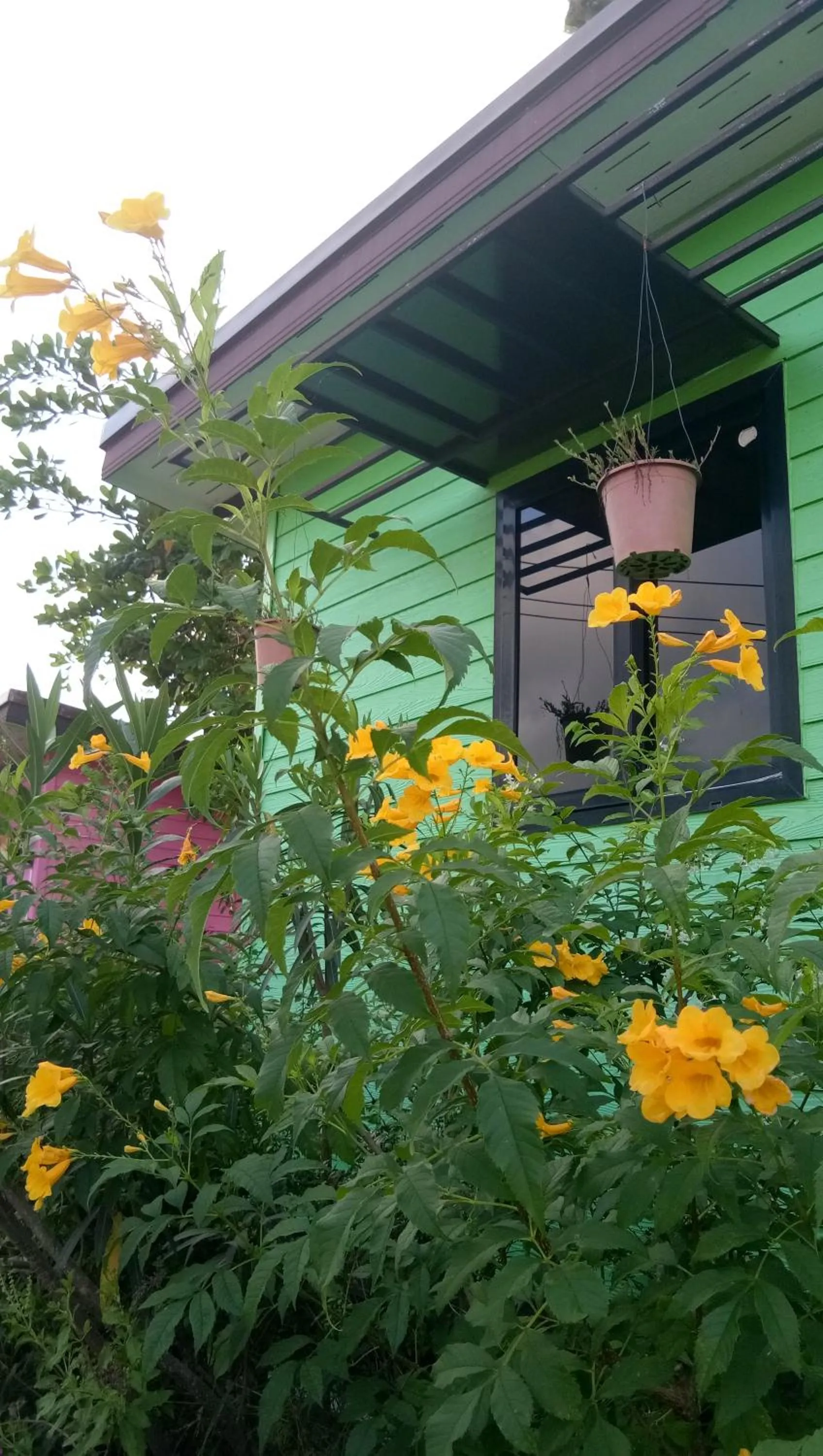 4 seasons mini house