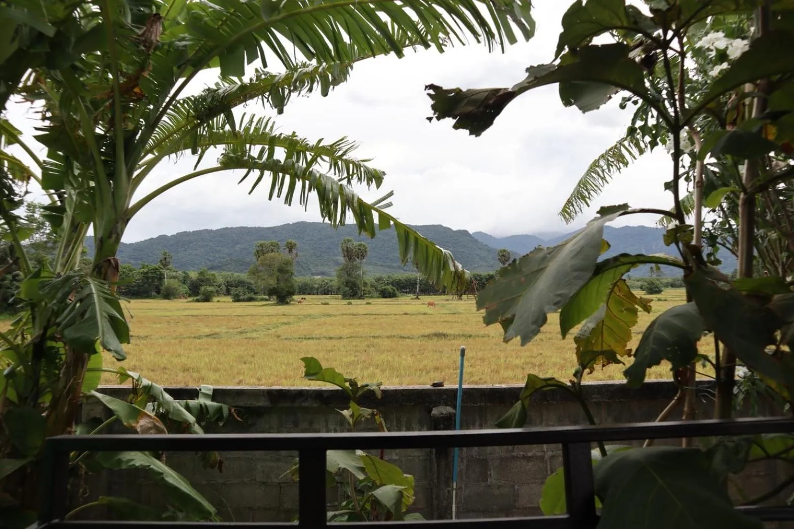 4 seasons mini house