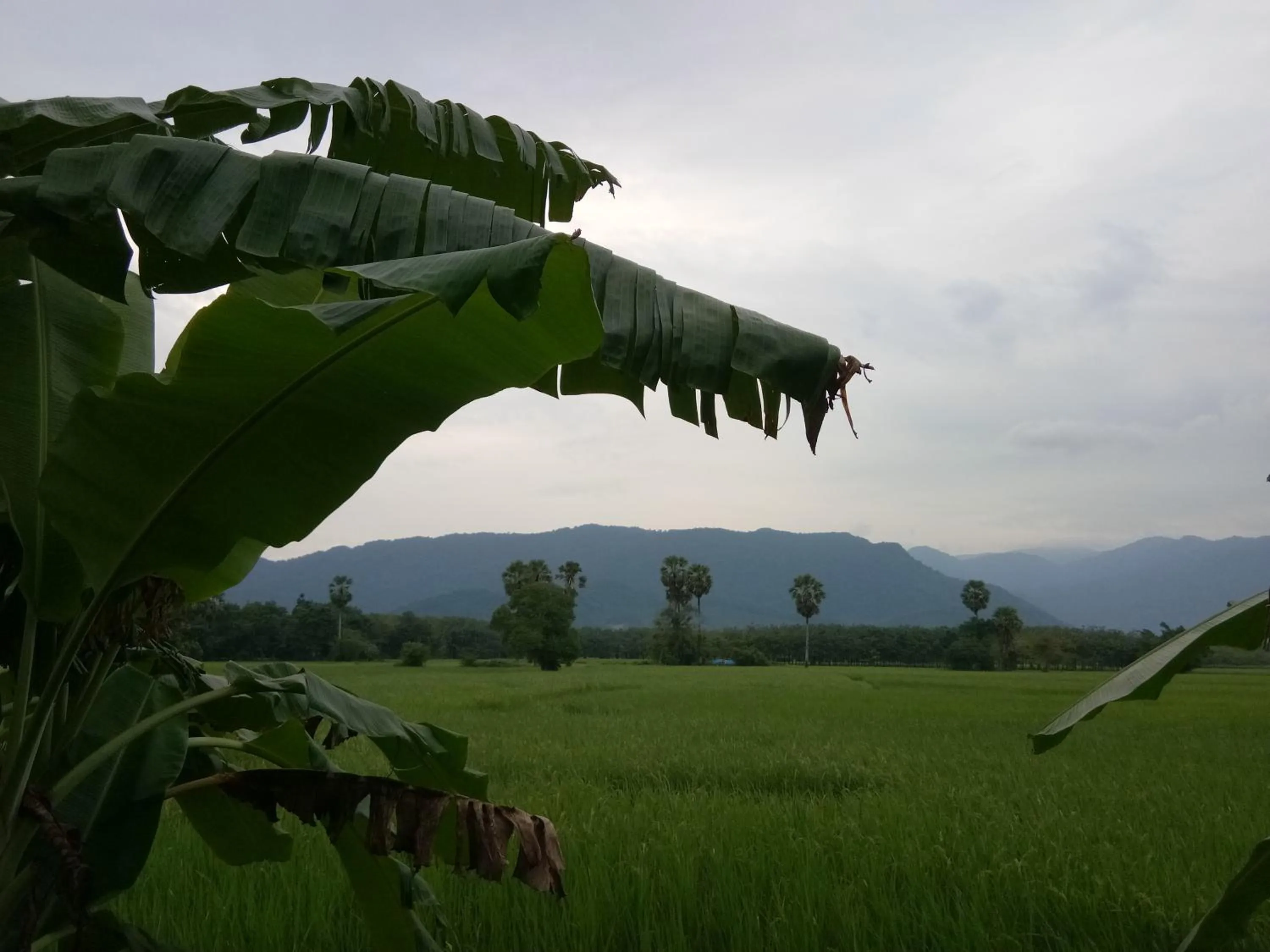 4 seasons mini house