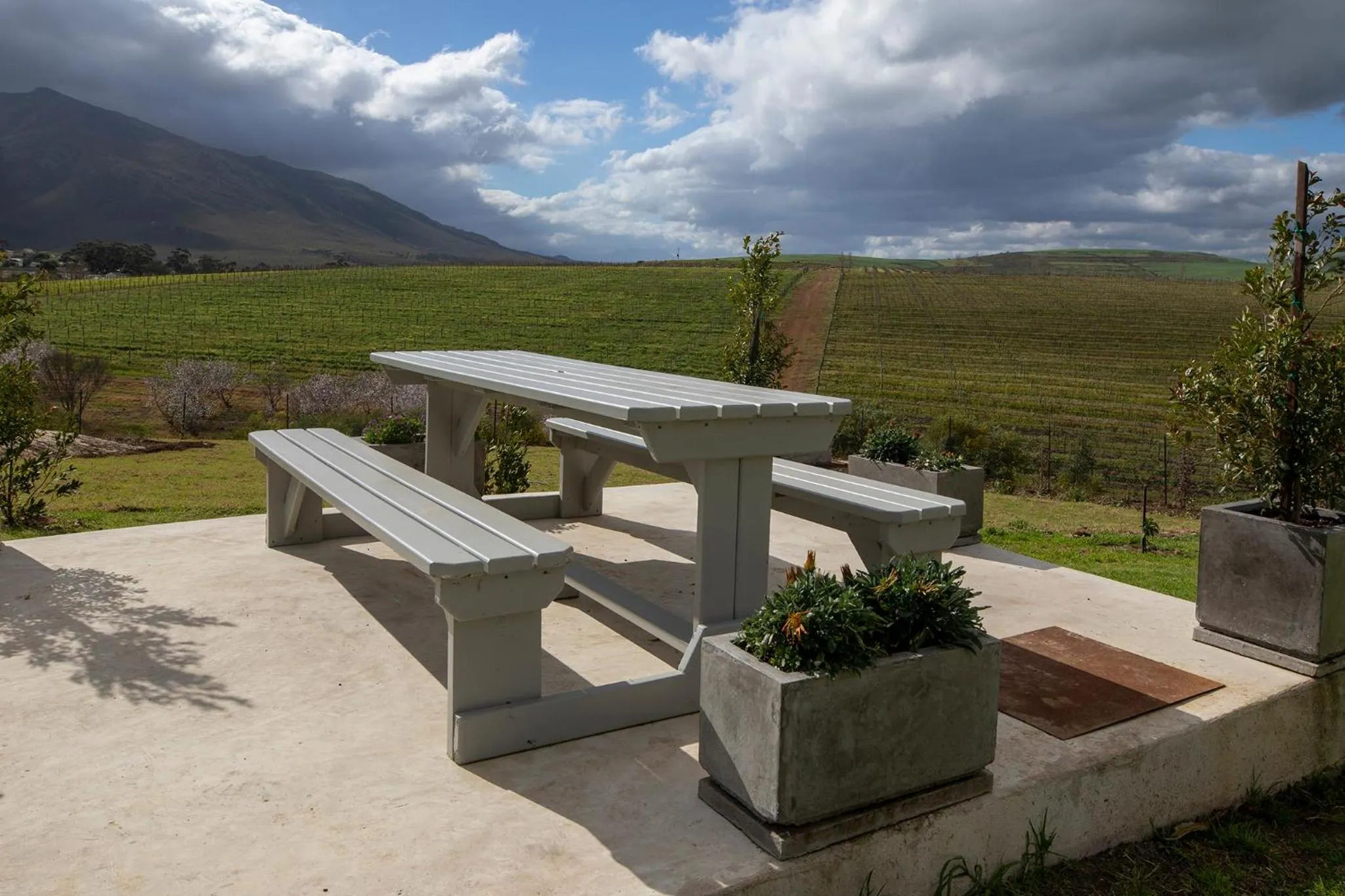 Garden in Arcangeli Wines