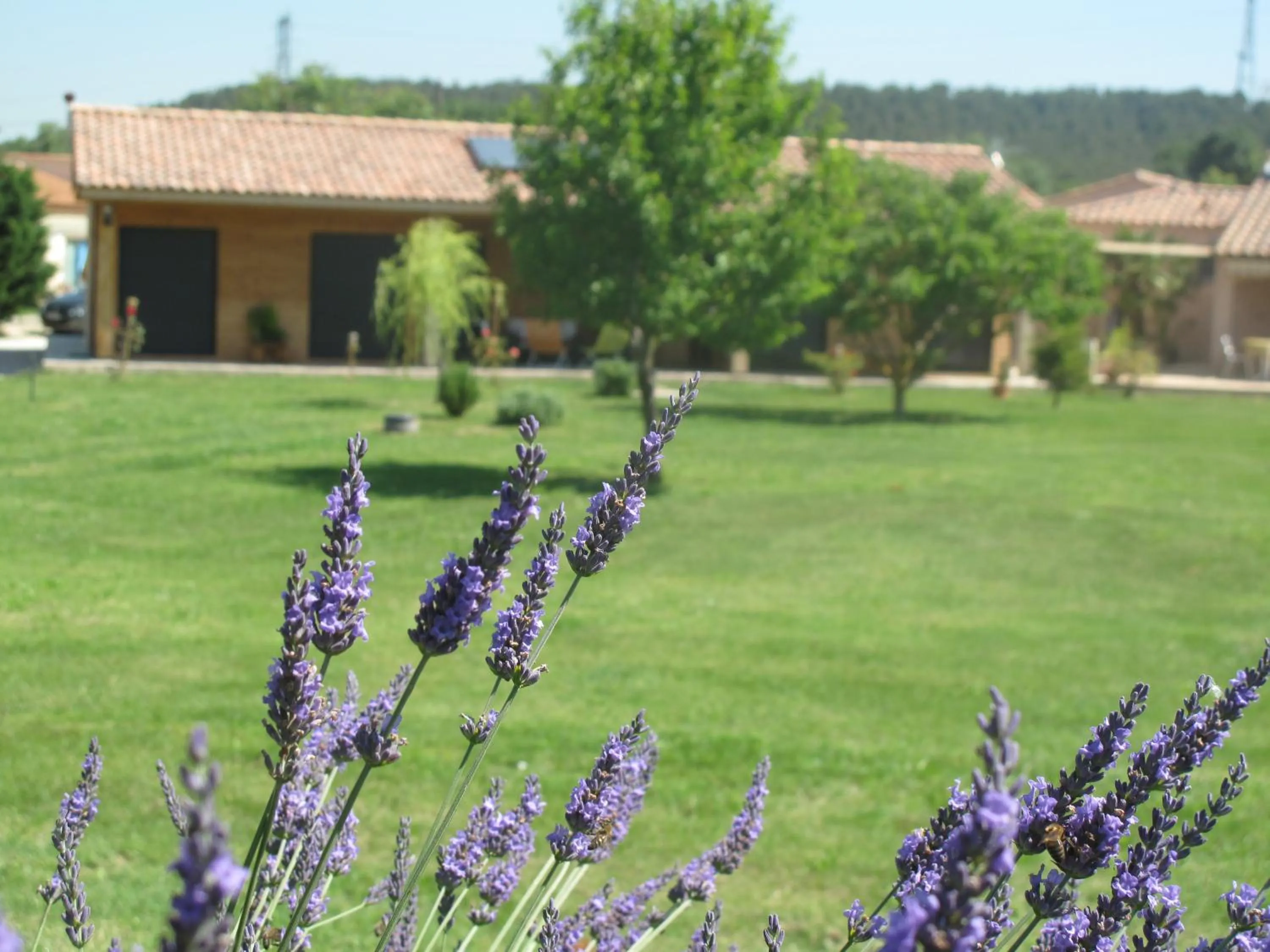 Facade/entrance in L'étape Provencale