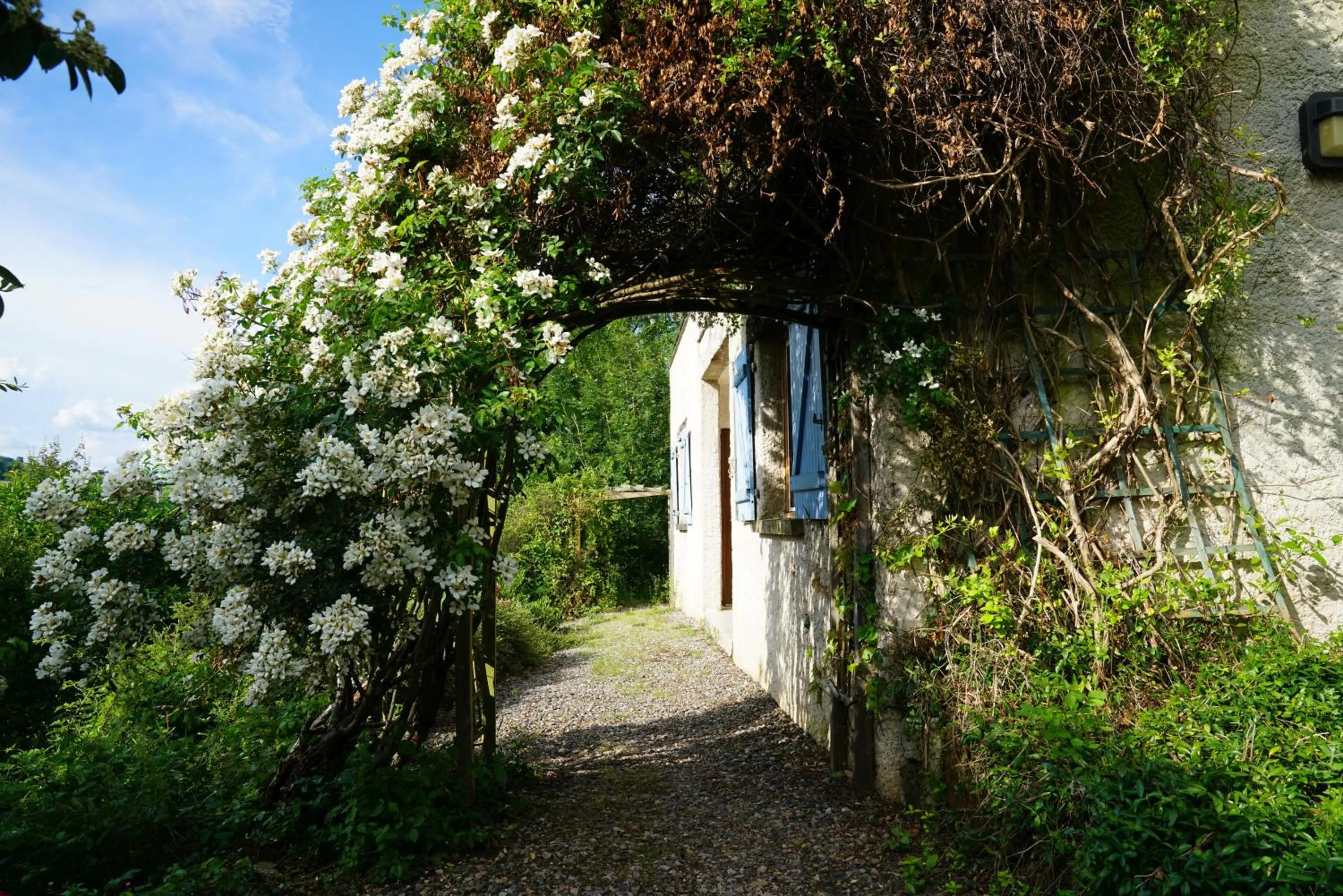Garden in Hôtel Restaurant Le Mûrier de Viels - Grand Figeac