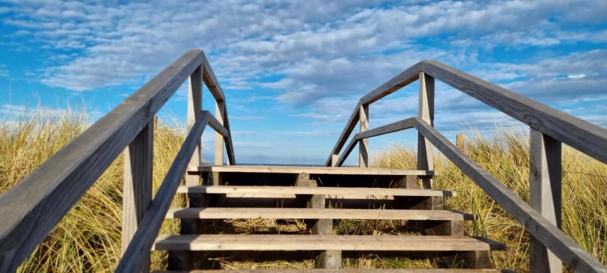 Natural landscape in Appartementhaus Ostseeresidenz