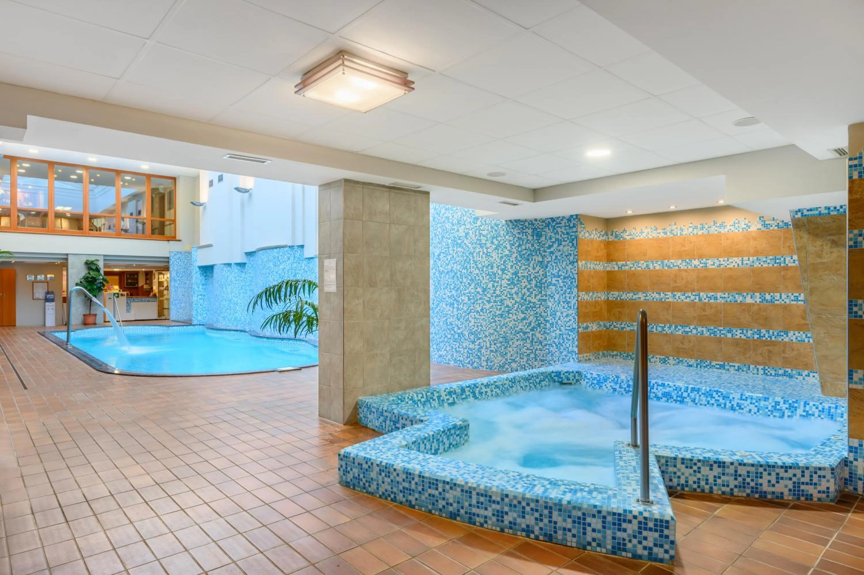 Hot Tub in Aranyhomok Hotel Business & Relax