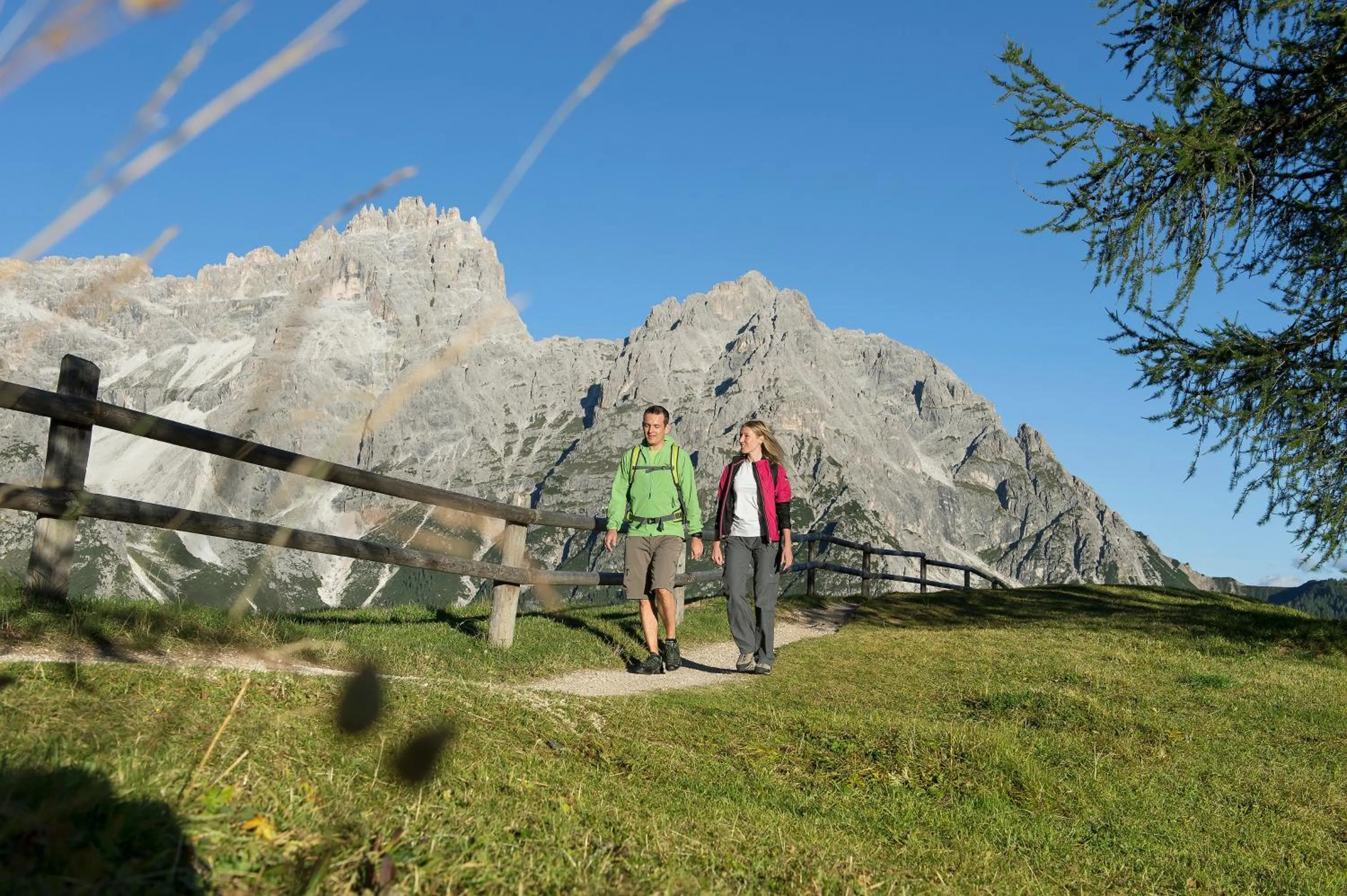 Natural landscape in Hotel Asterbel