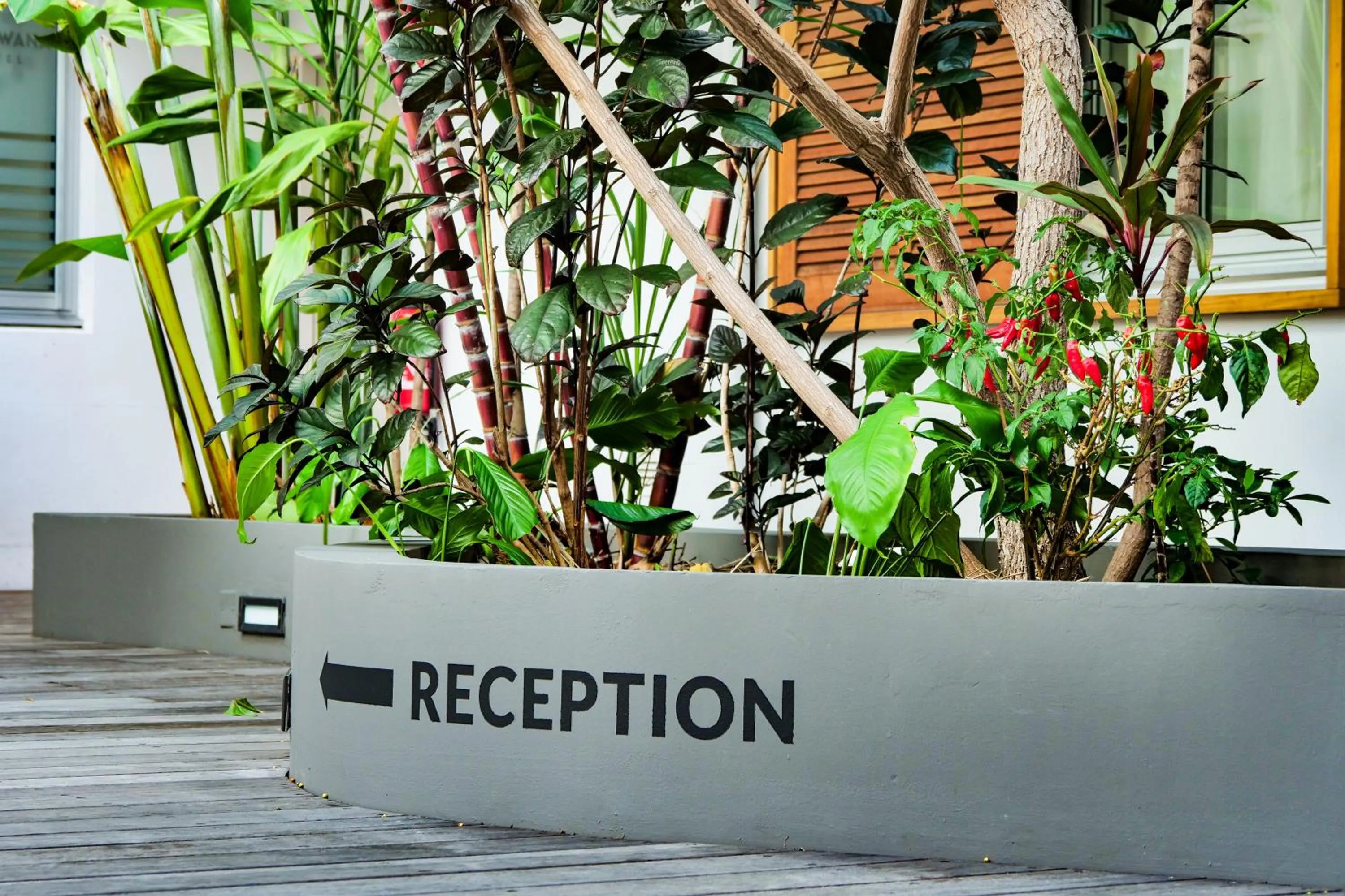 Patio in Gondwana City Green