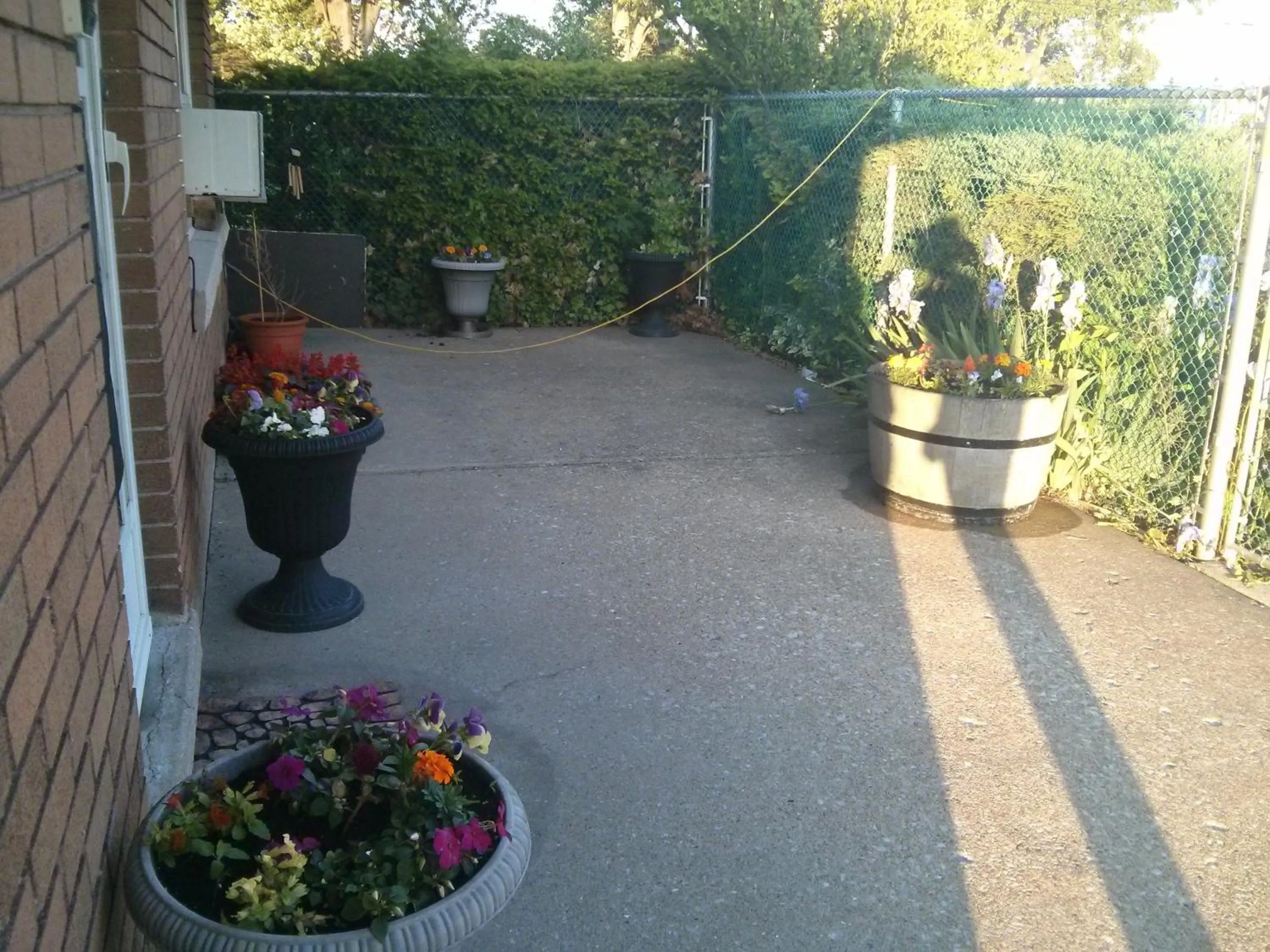 Garden in Port Motel