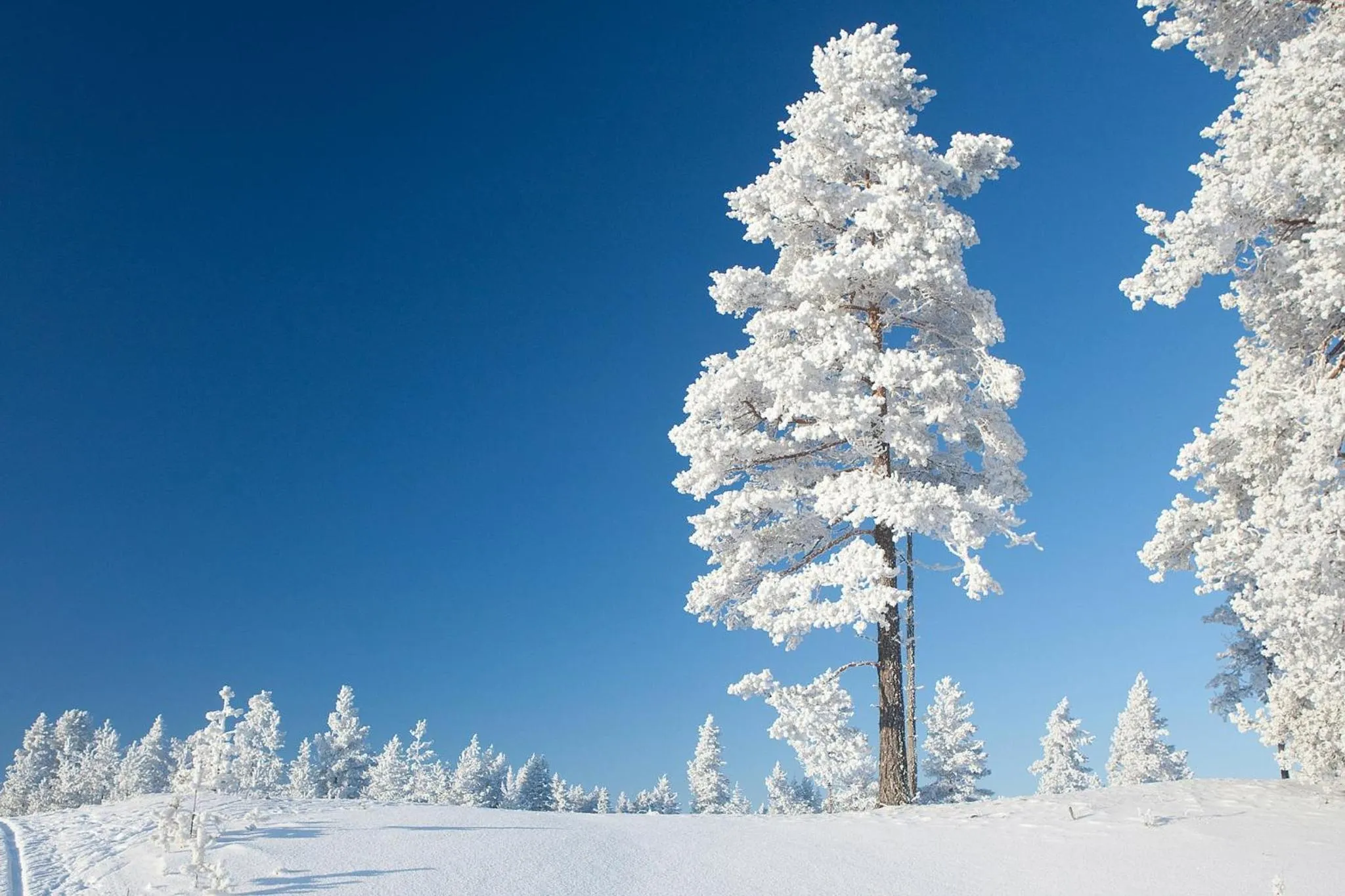 Winter in Rokua Health & Spa