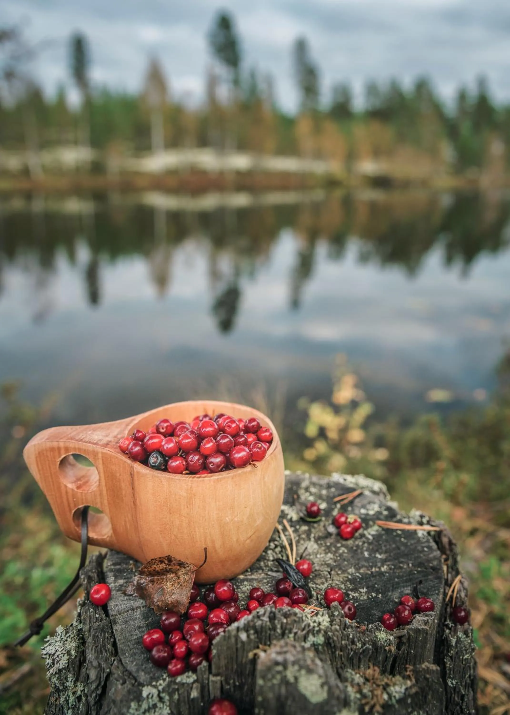 Autumn in Rokua Health & Spa