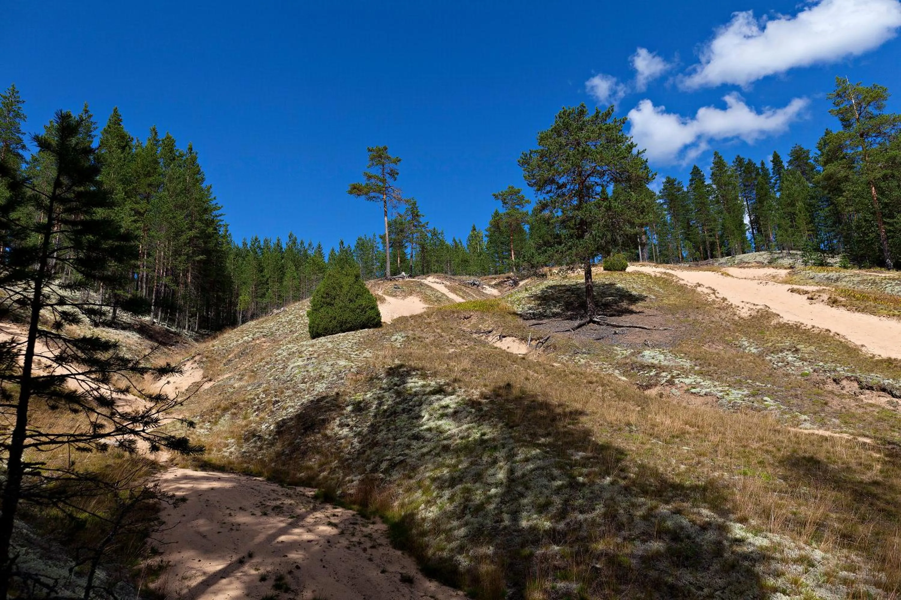 Natural landscape in Rokua Health & Spa