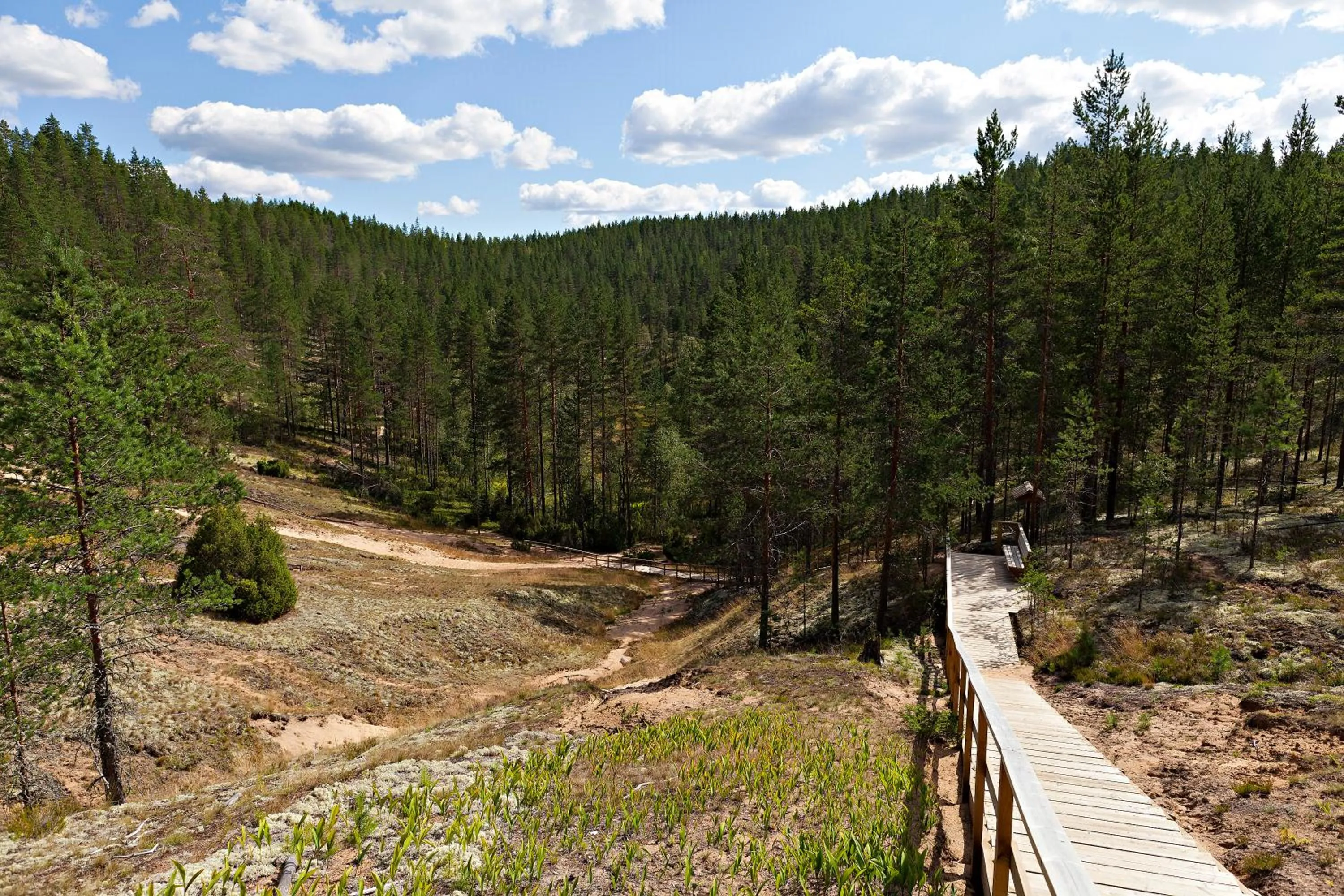 Natural landscape in Rokua Health & Spa