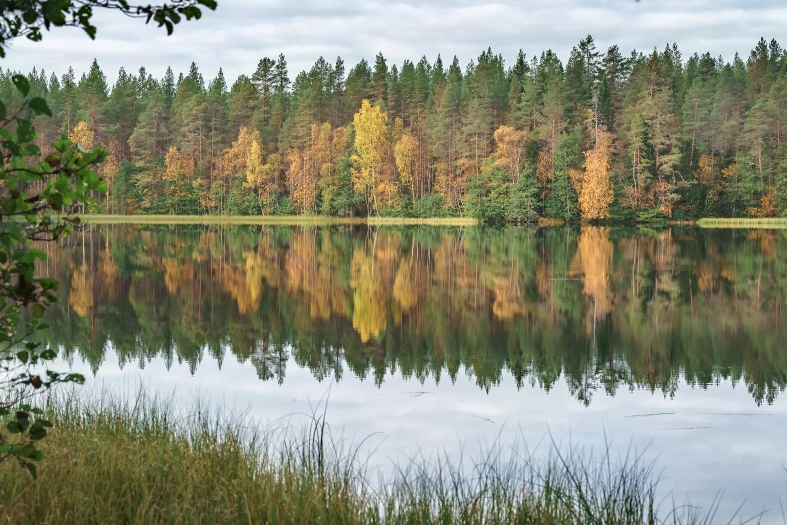 Natural landscape in Rokua Health & Spa