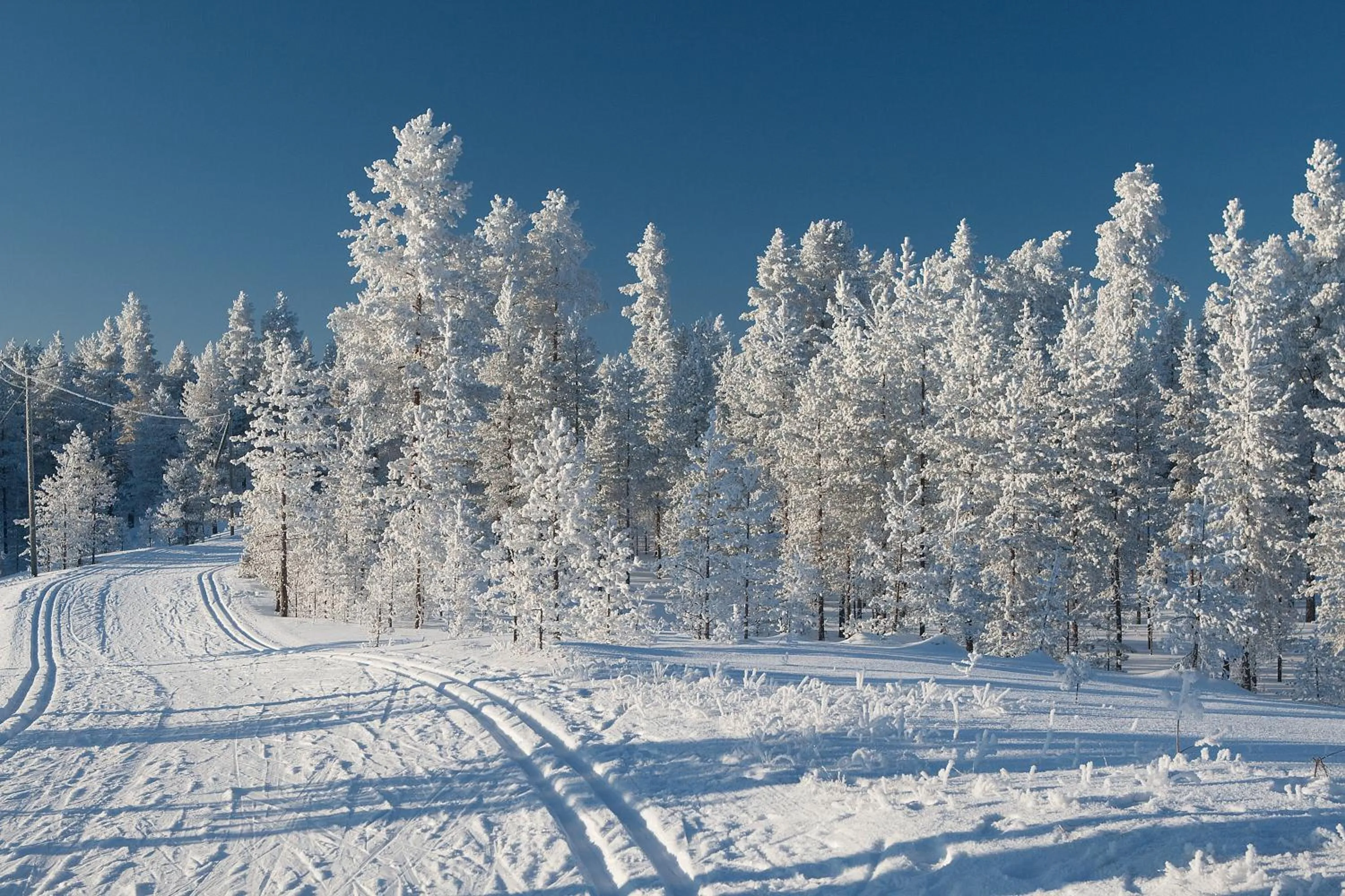 Winter in Rokua Health & Spa