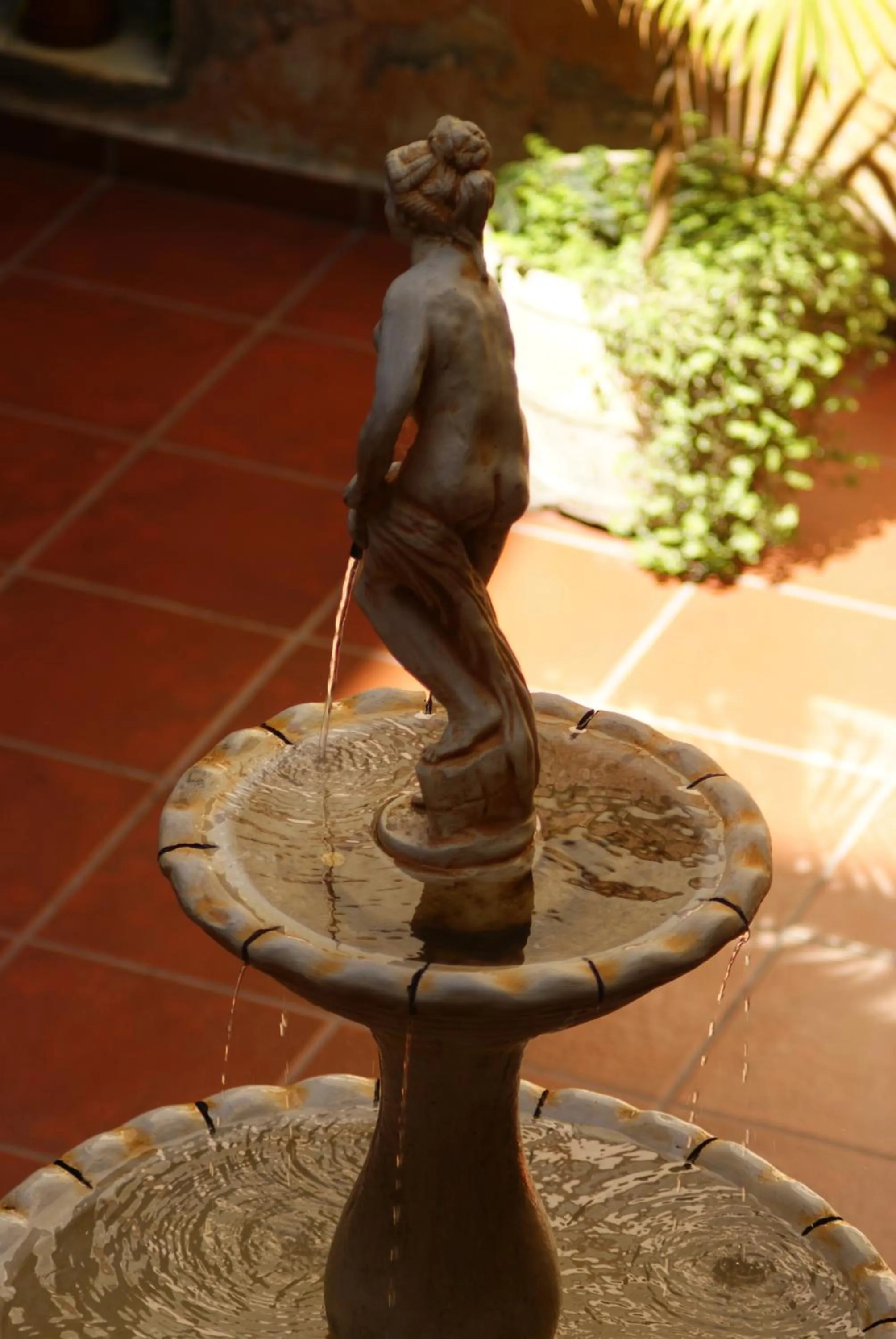 Patio in Hotel Parada