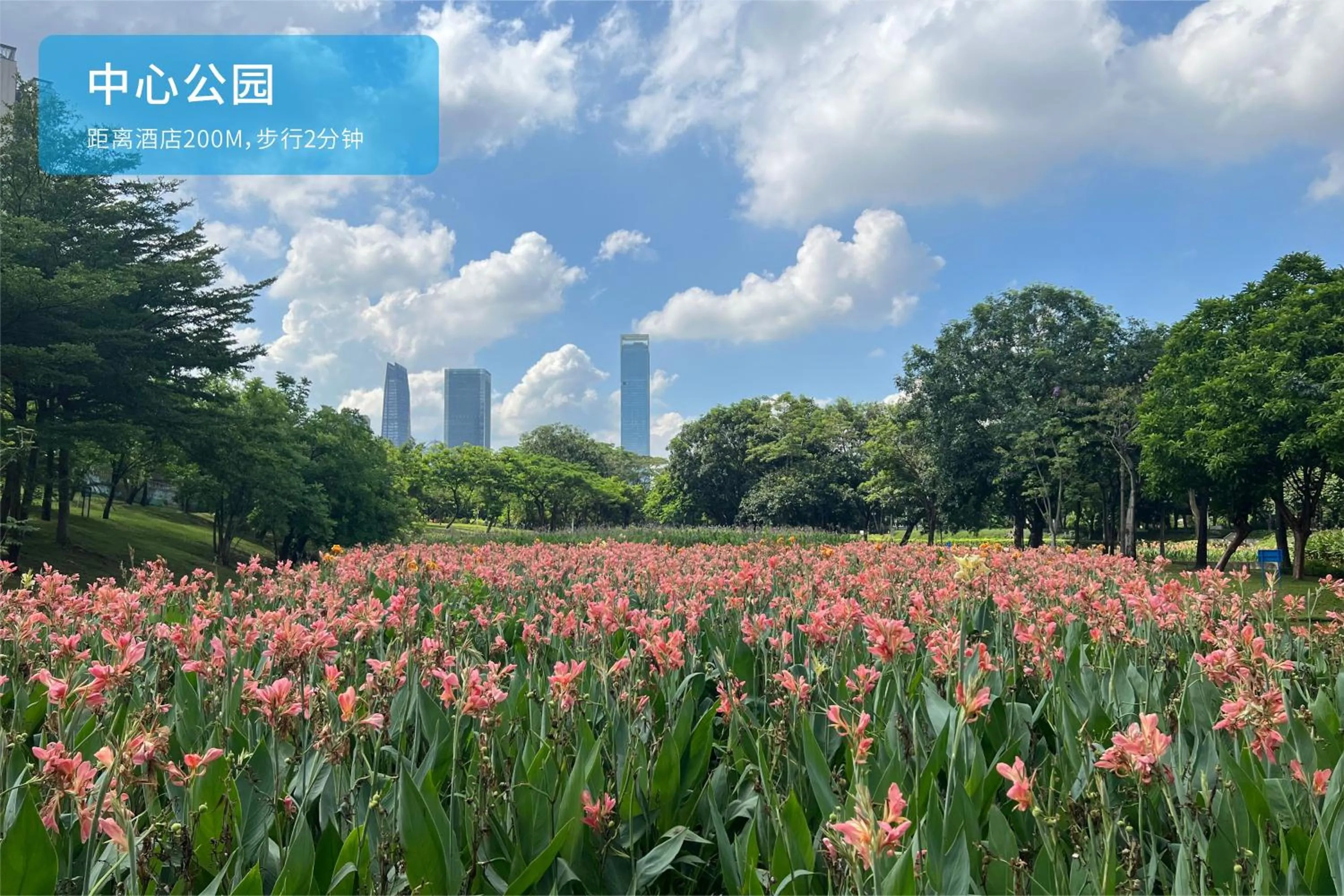 Activities in Shenzhen Grand Skylight Garden Hotel