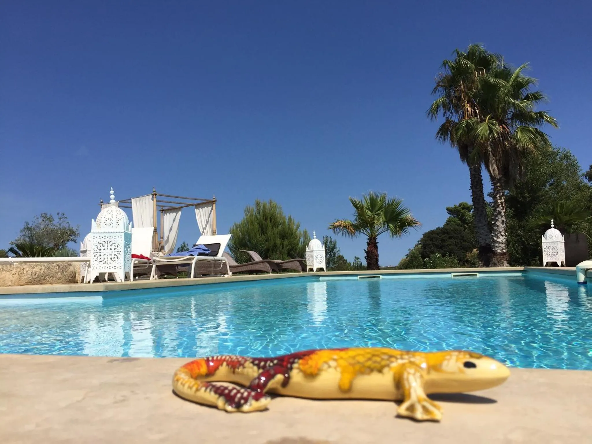 Swimming pool in Escapades Lointaines