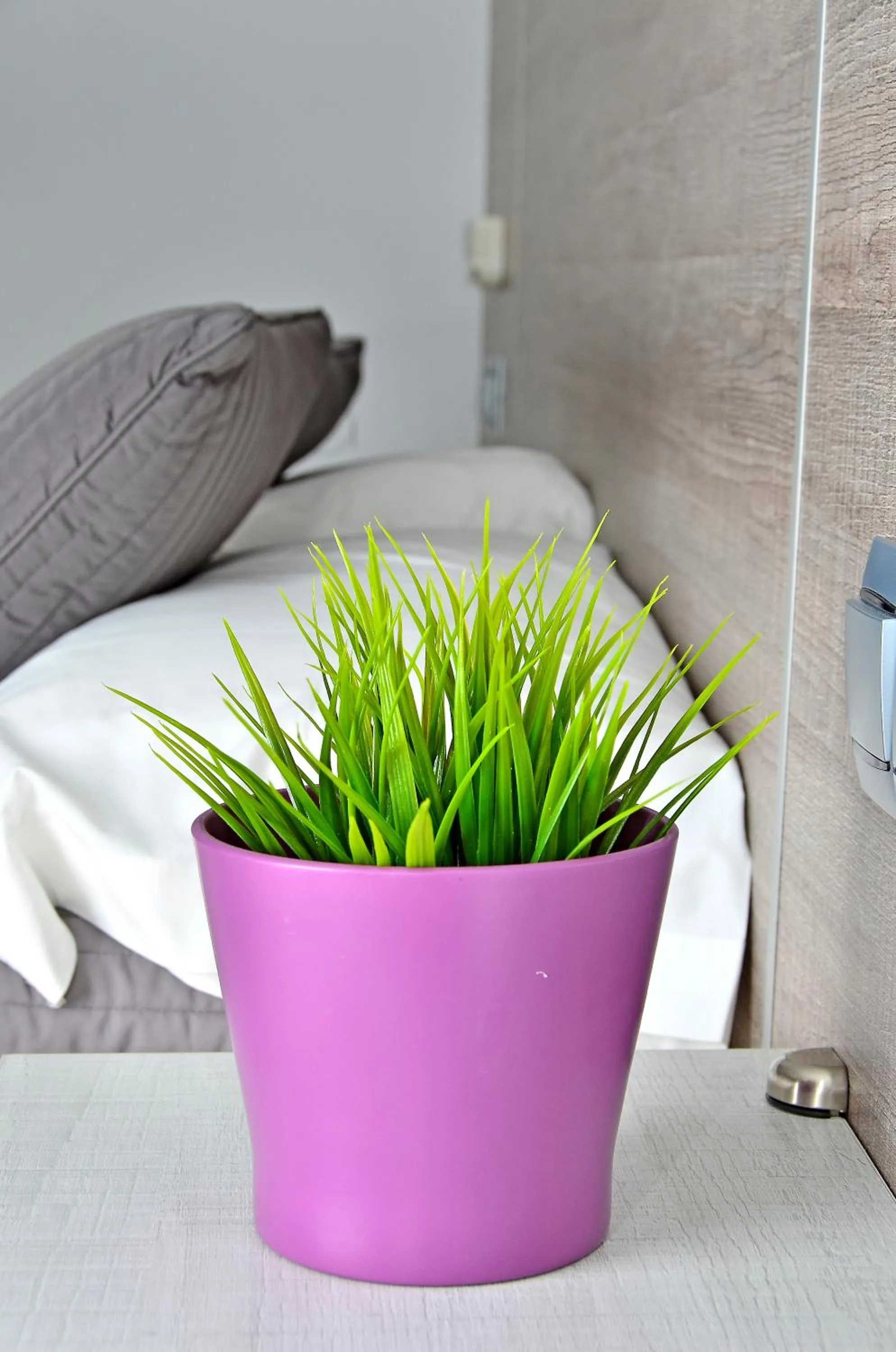 Decorative detail, Bed in Hostal Campito
