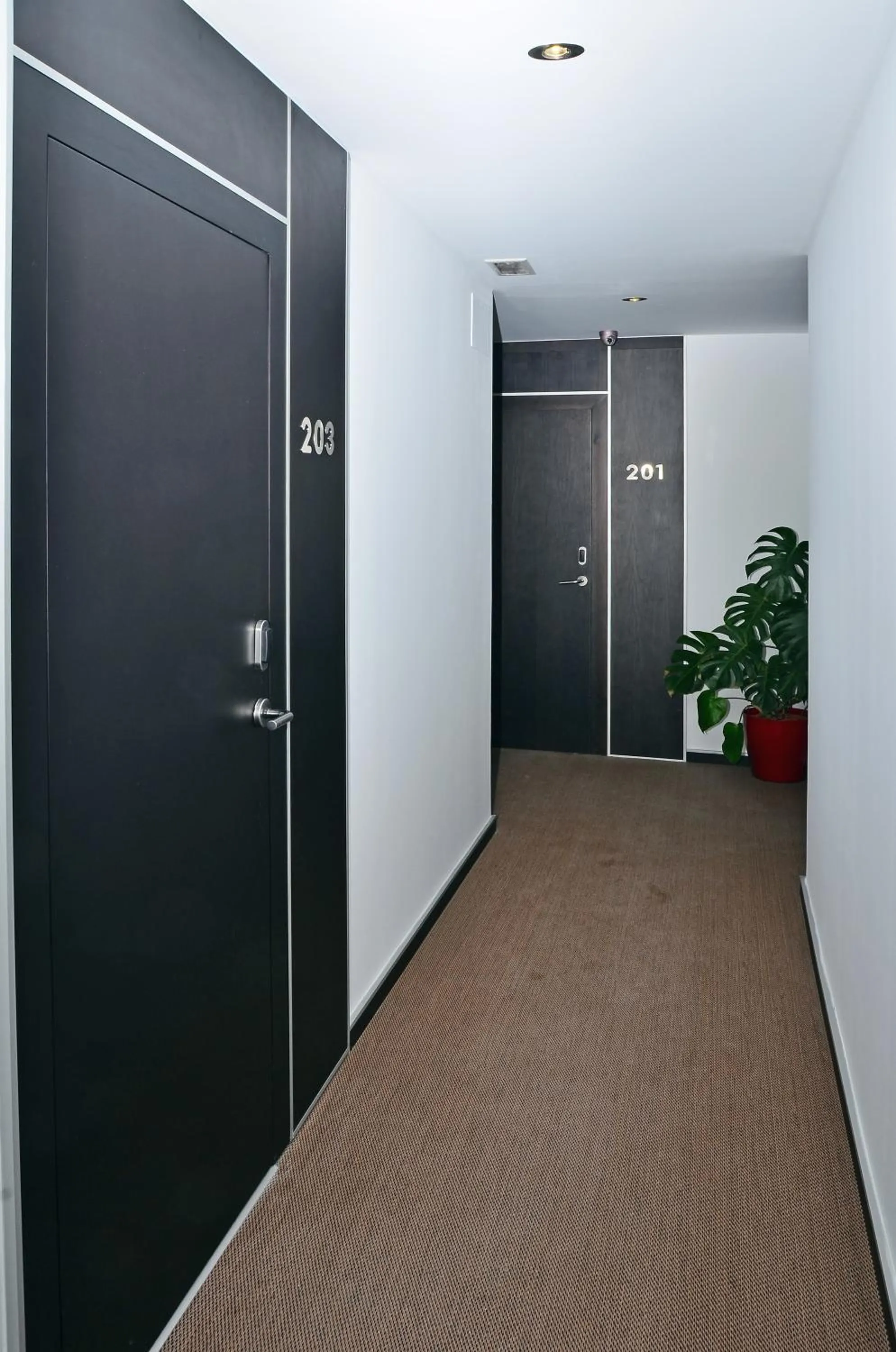 Lobby or reception in Hostal Campito