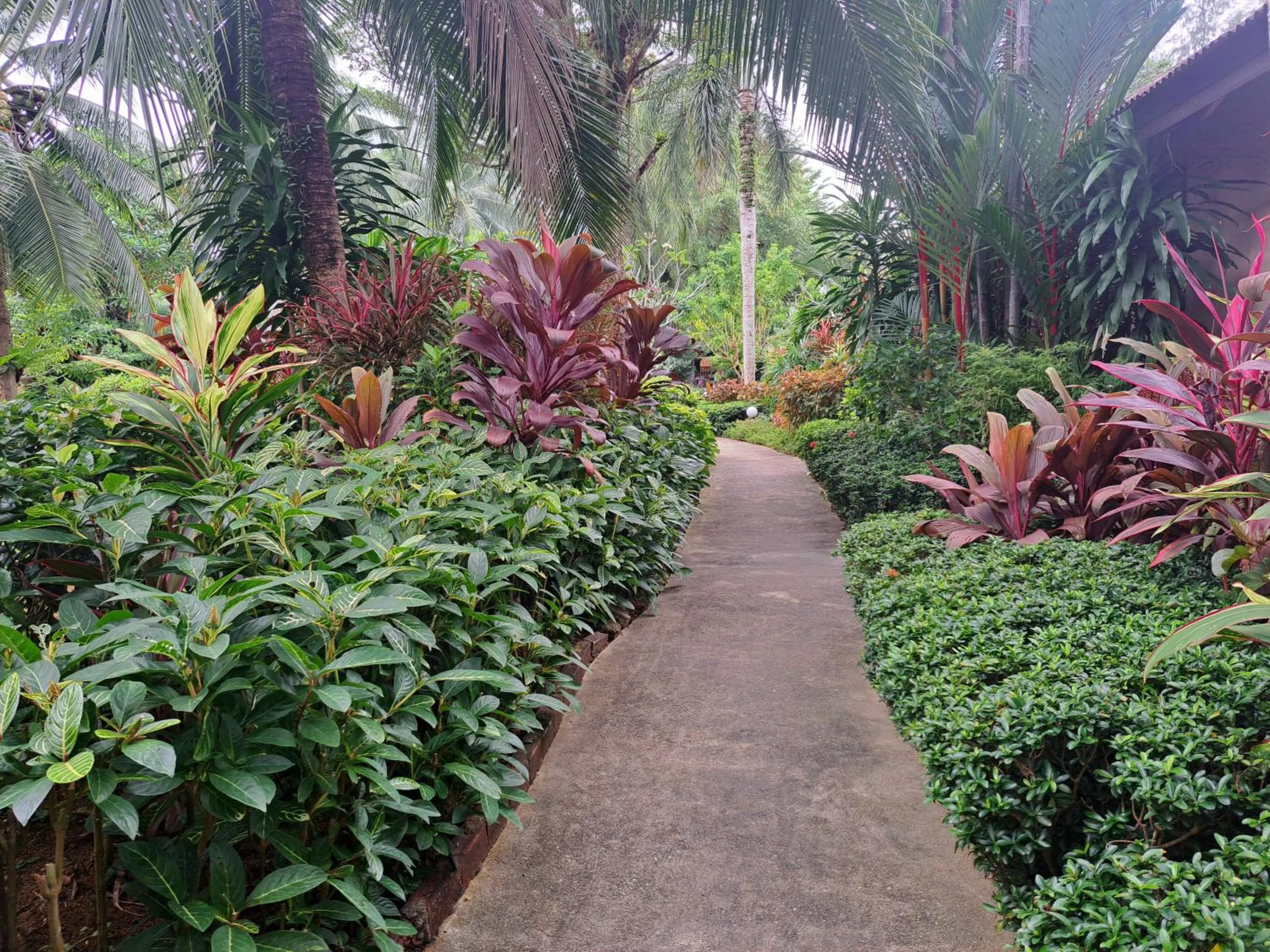 Jasmin Resort - SHA Plus