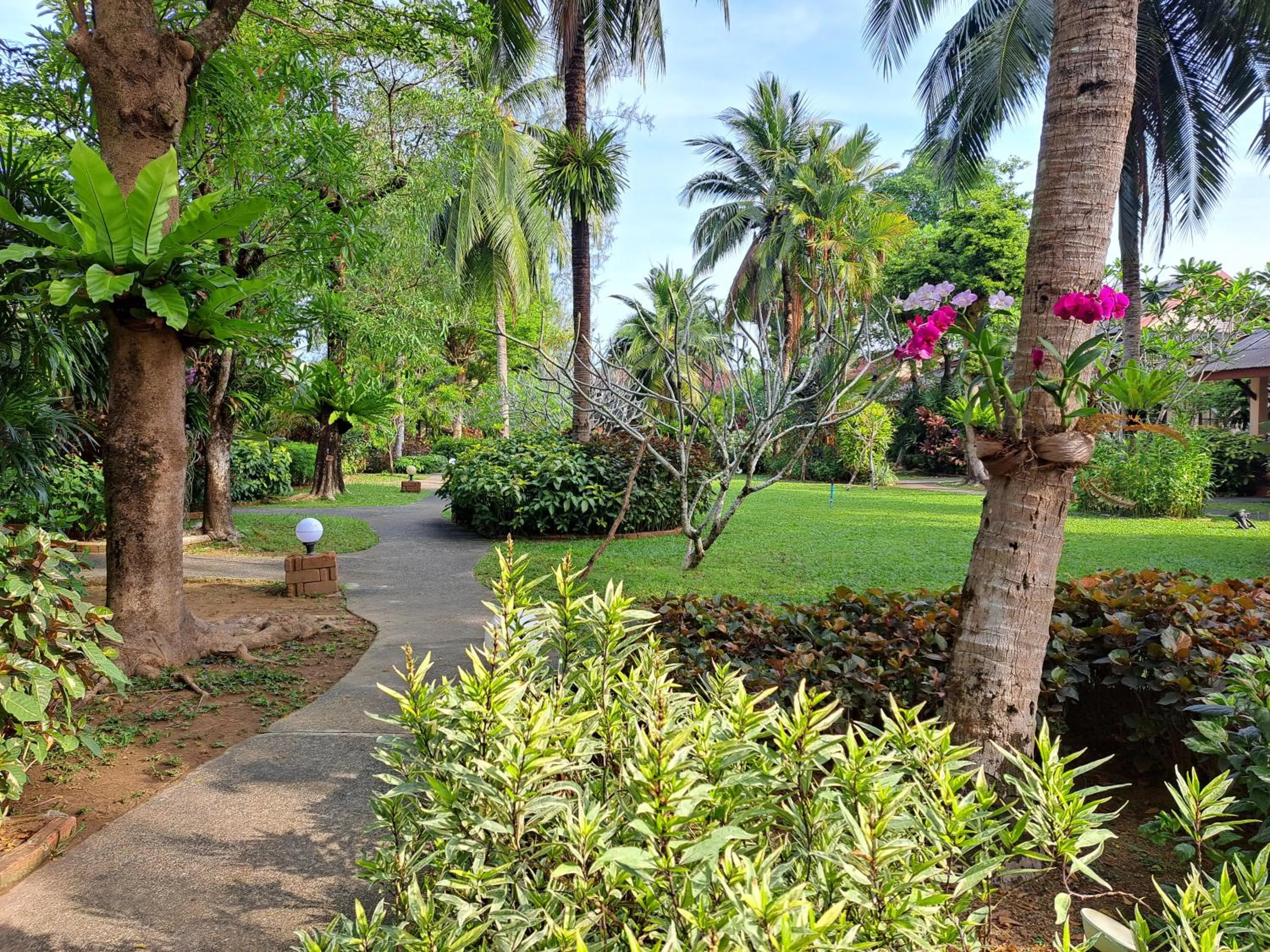 Jasmin Resort - SHA Plus