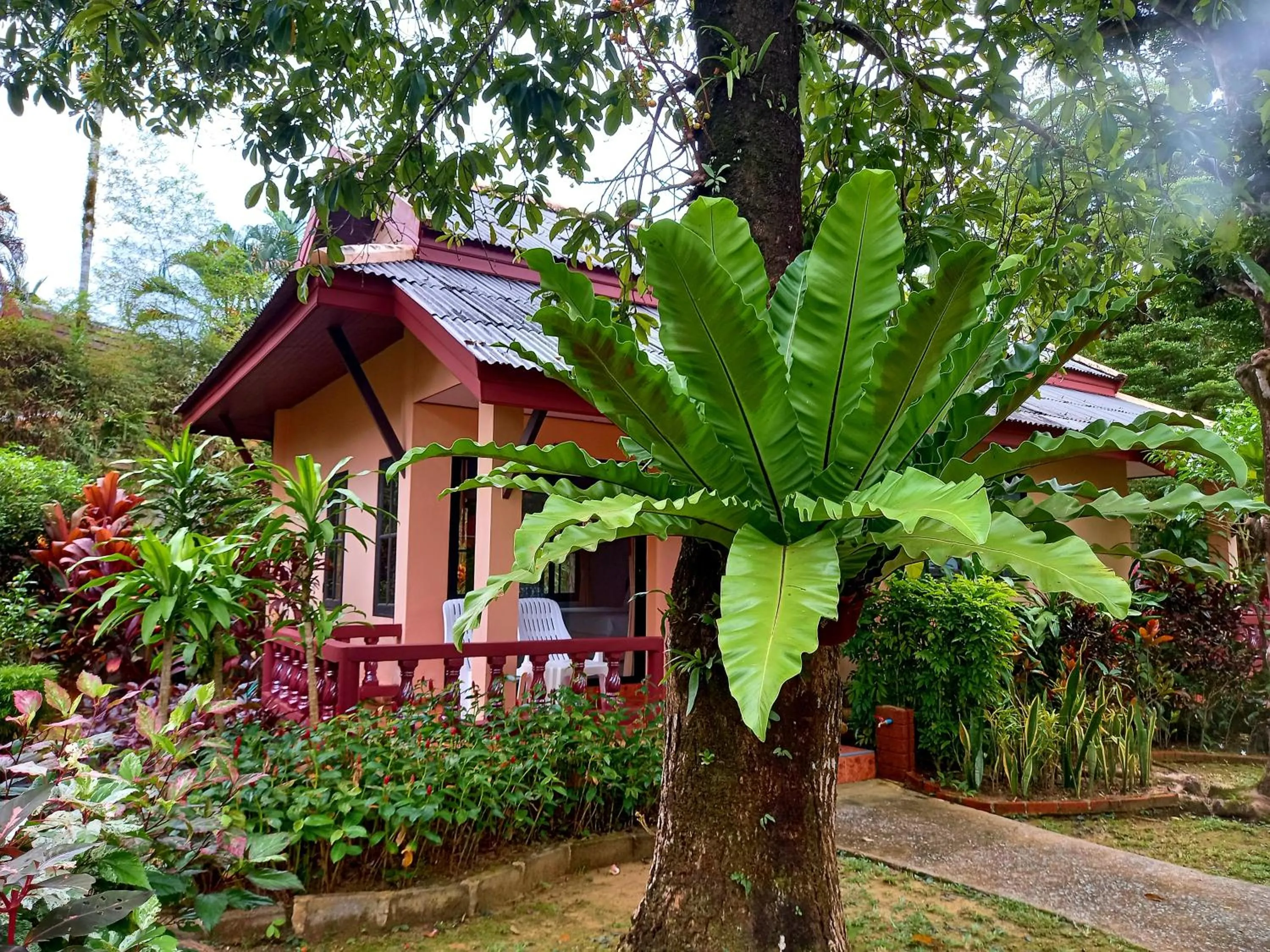 Jasmin Resort - SHA Plus