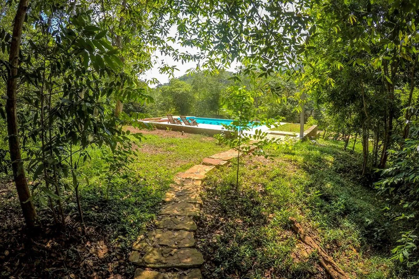 Garden in Flamboyant Villas