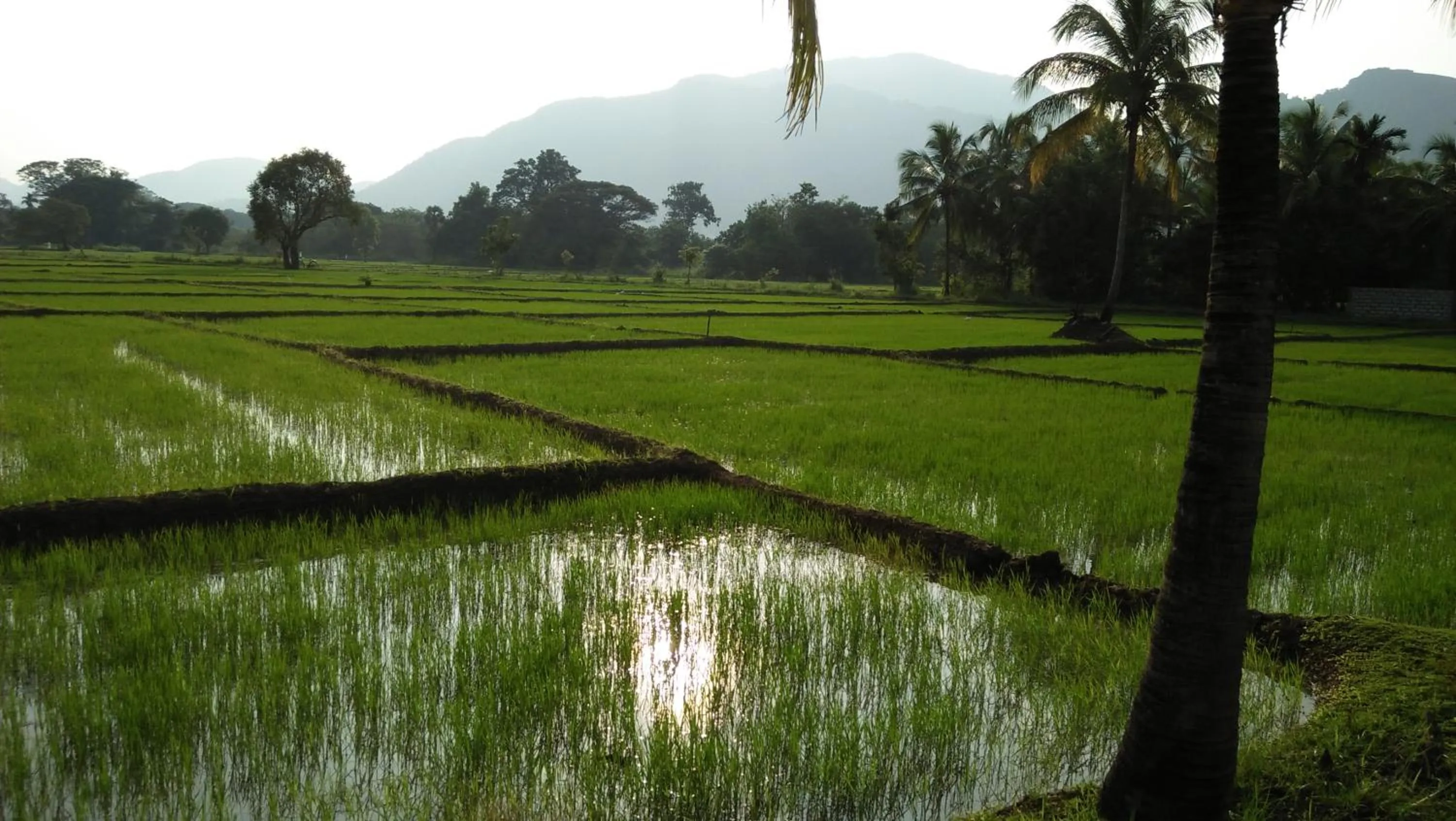 Neighbourhood in Flamboyant Villas