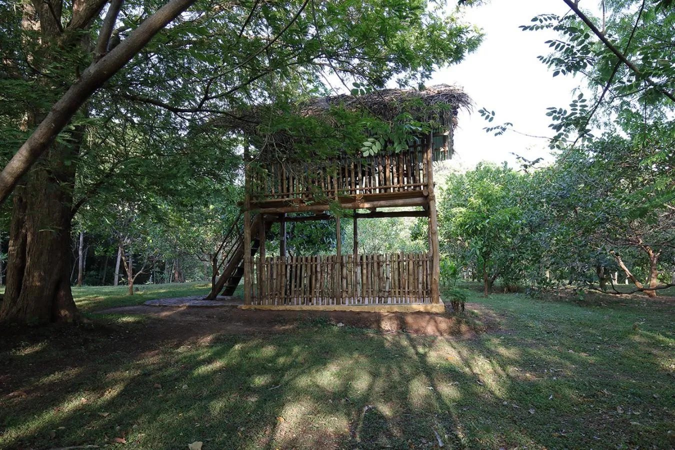 Area and facilities in Flamboyant Villas