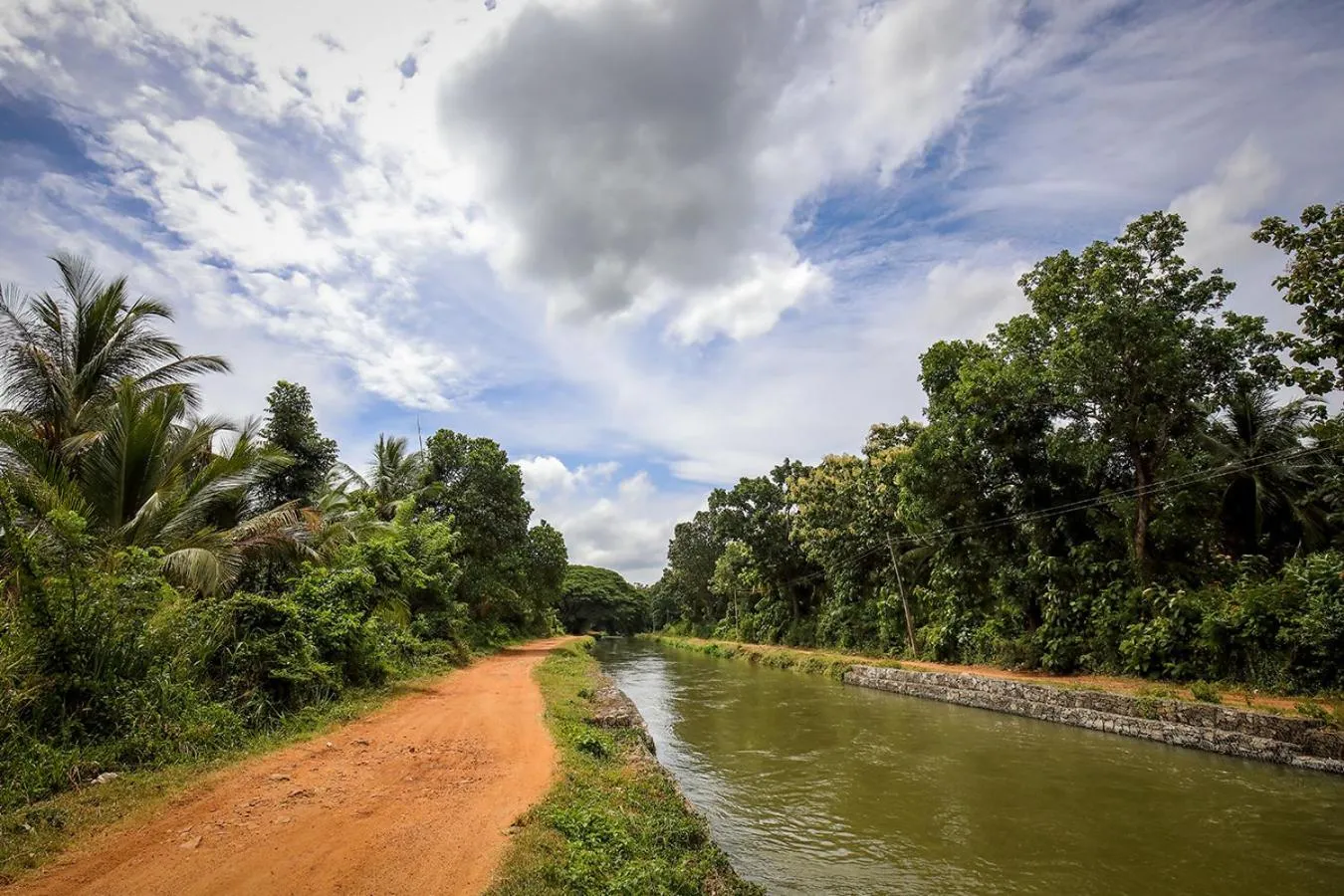 Neighbourhood in Flamboyant Villas