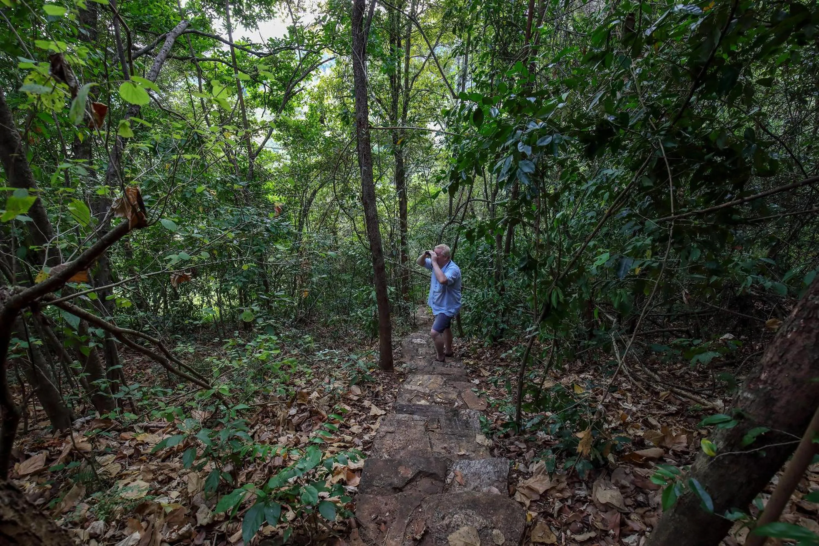 People in Flamboyant Villas