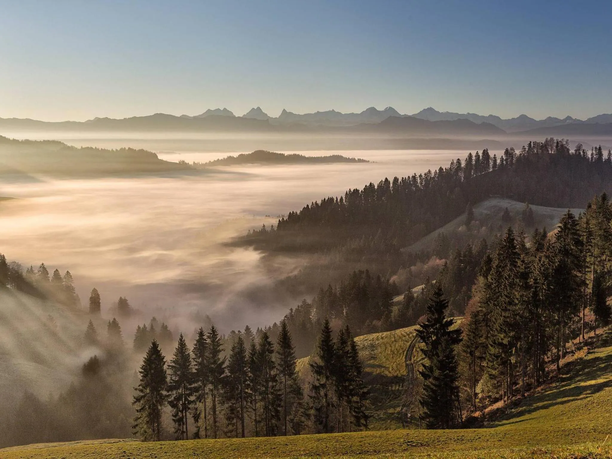 Natural landscape in Hotel Koi-Gartenteich