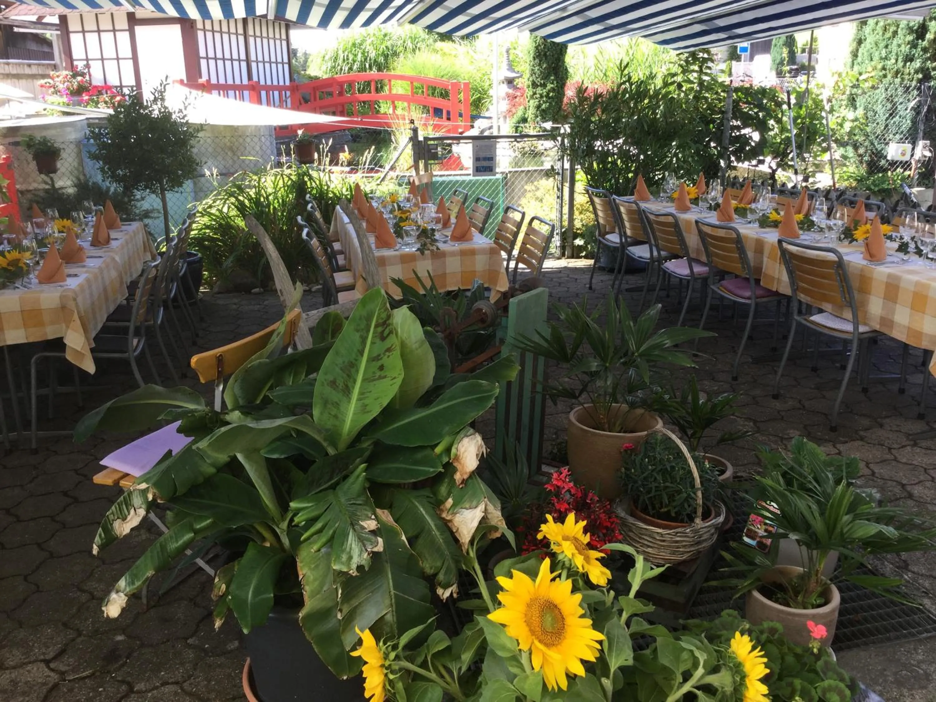 Restaurant/places to eat in Hotel Koi-Gartenteich