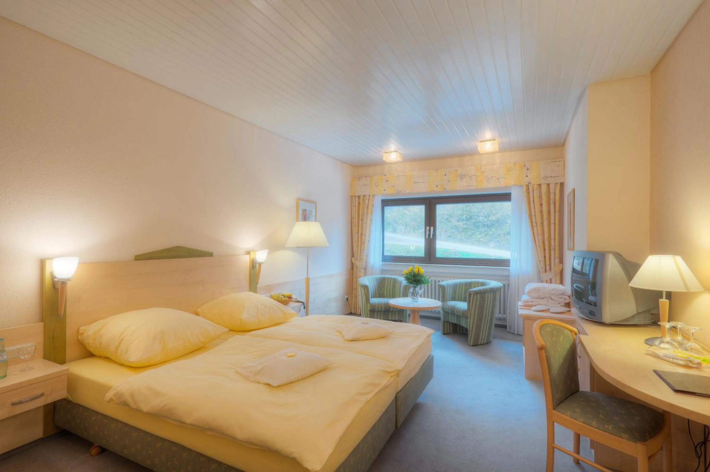 Standard Double Room in Waldhotel Sonnenberg