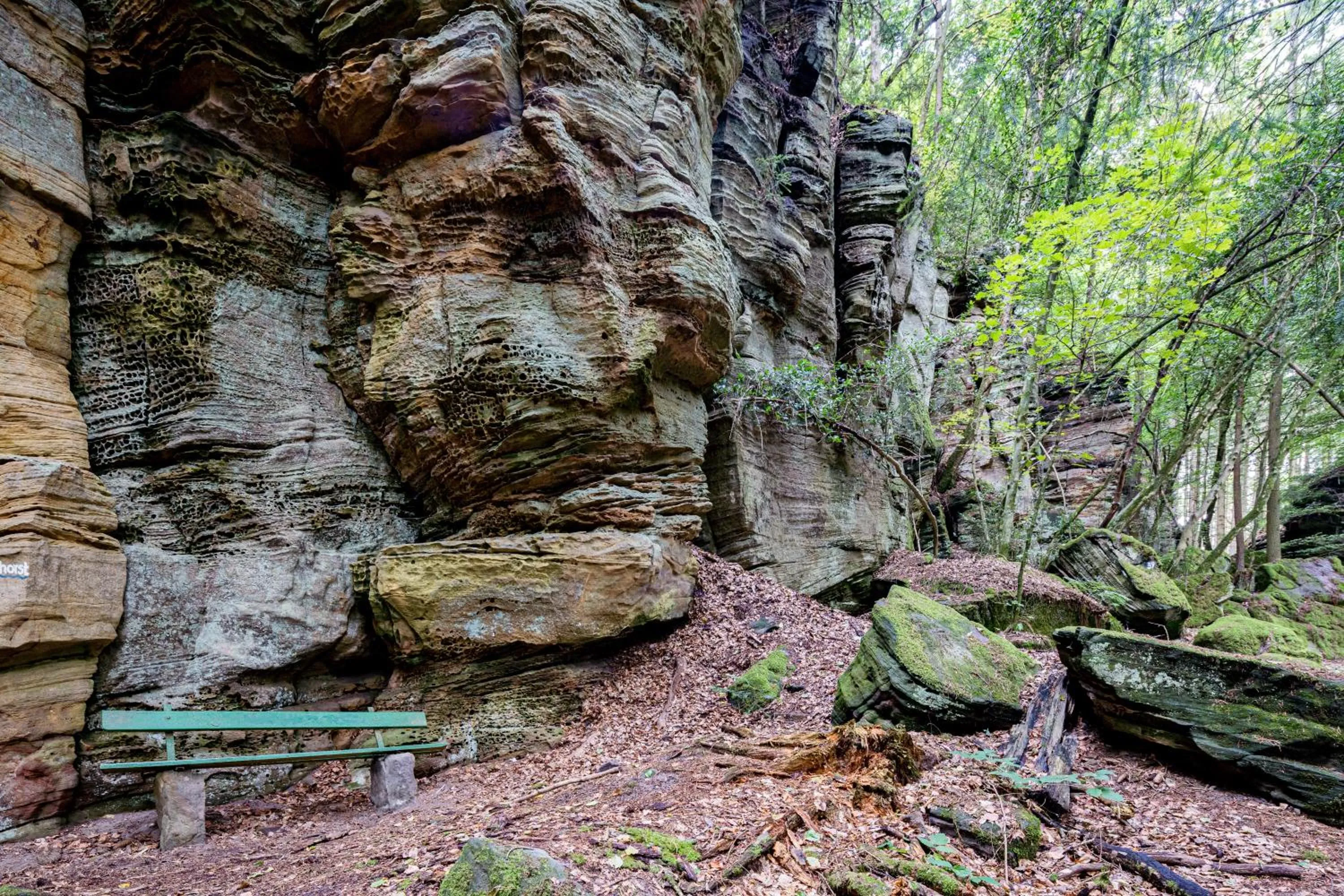Natural landscape in Waldhotel Sonnenberg